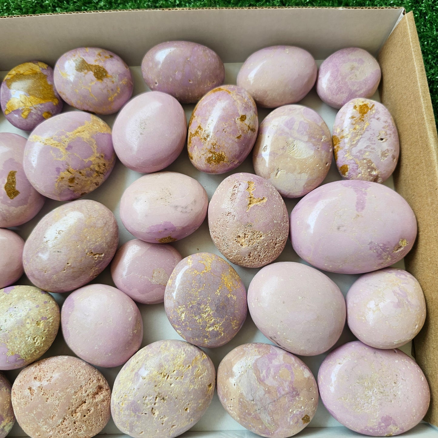 32 pc phosphosiderite palms