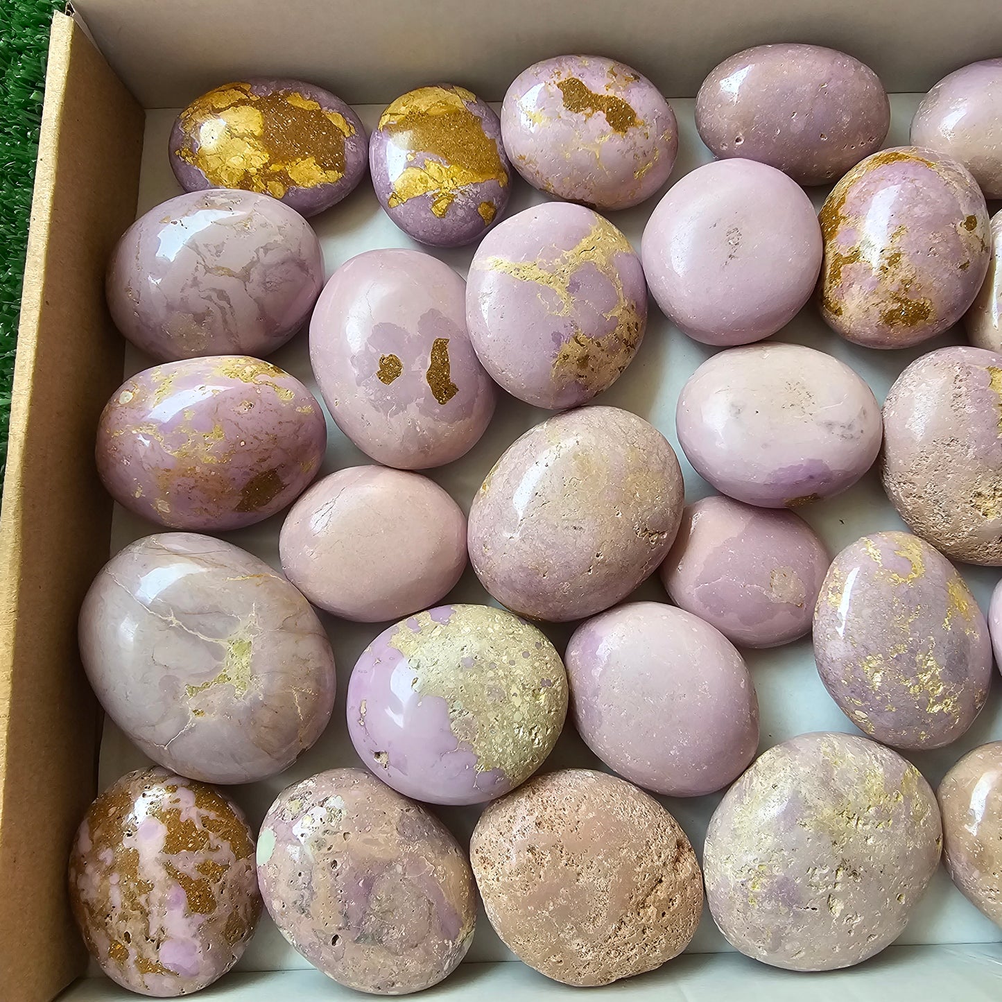 32 pc phosphosiderite palms