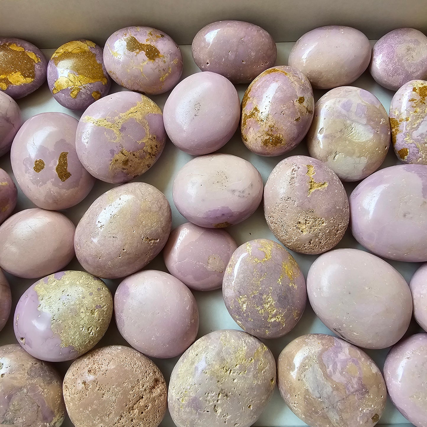 32 pc phosphosiderite palms