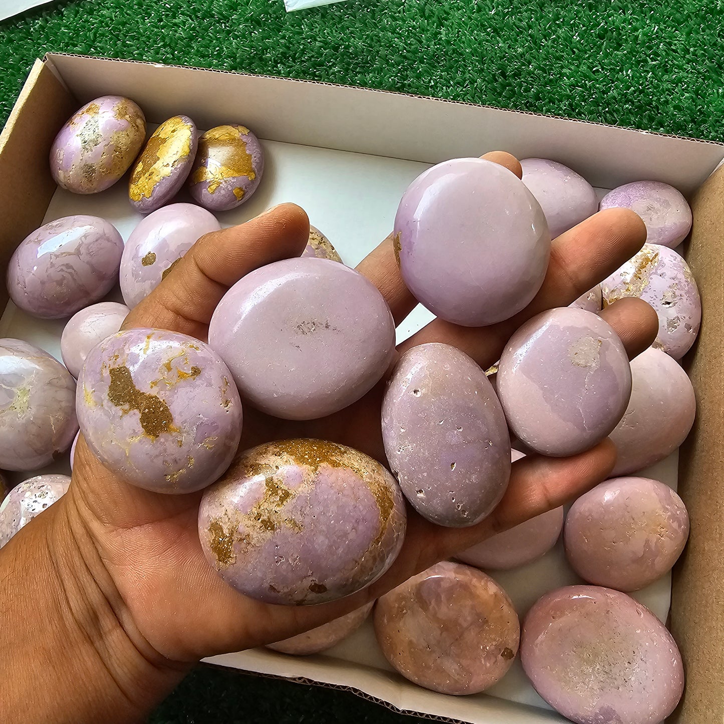32 pc phosphosiderite palms