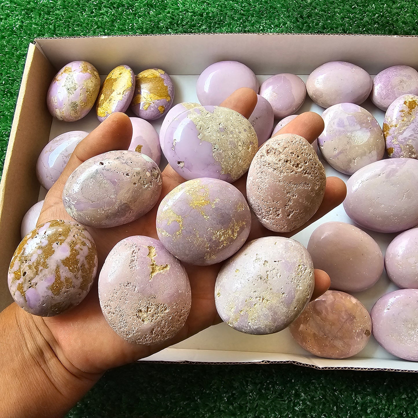 32 pc phosphosiderite palms