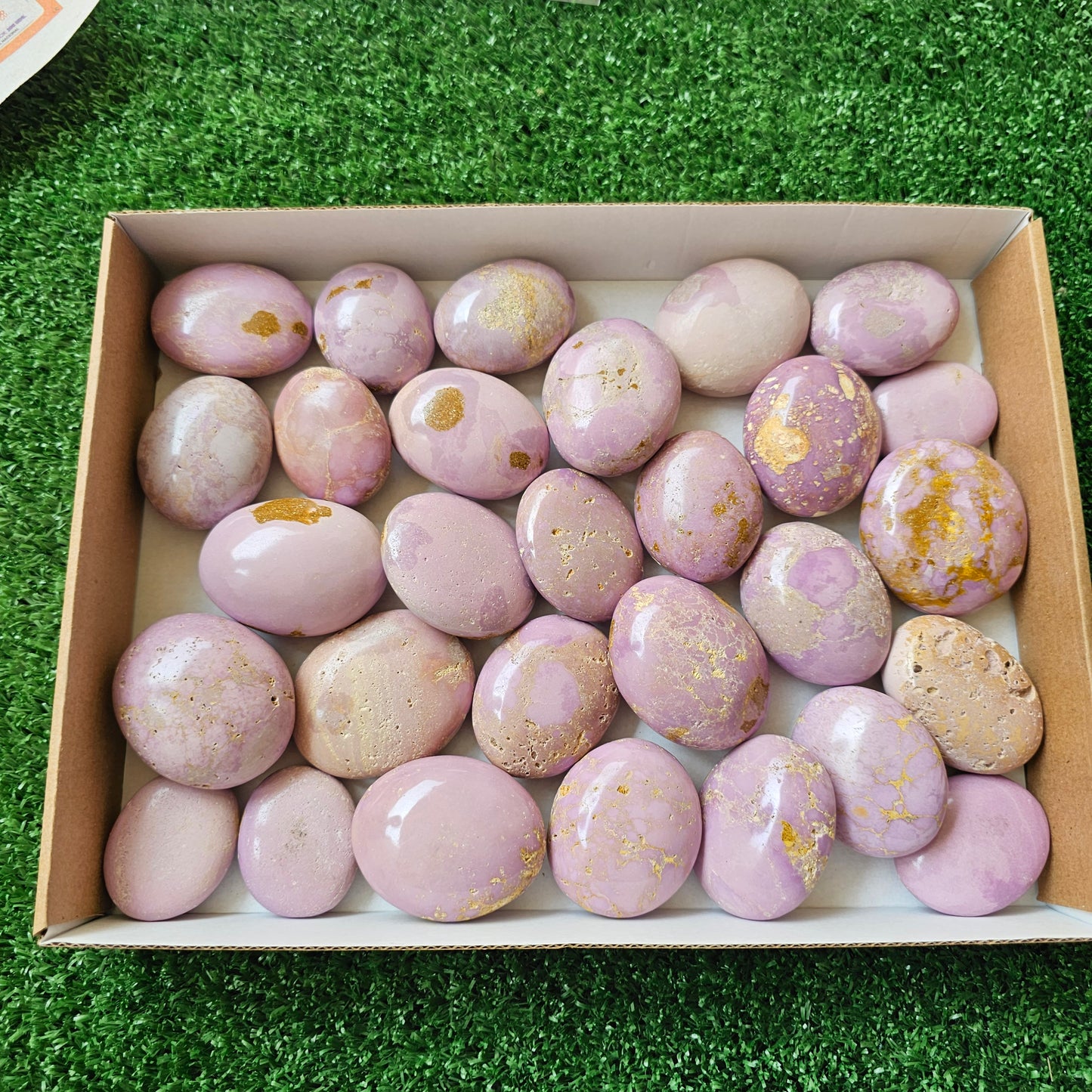 29 pc phosphosiderite palms