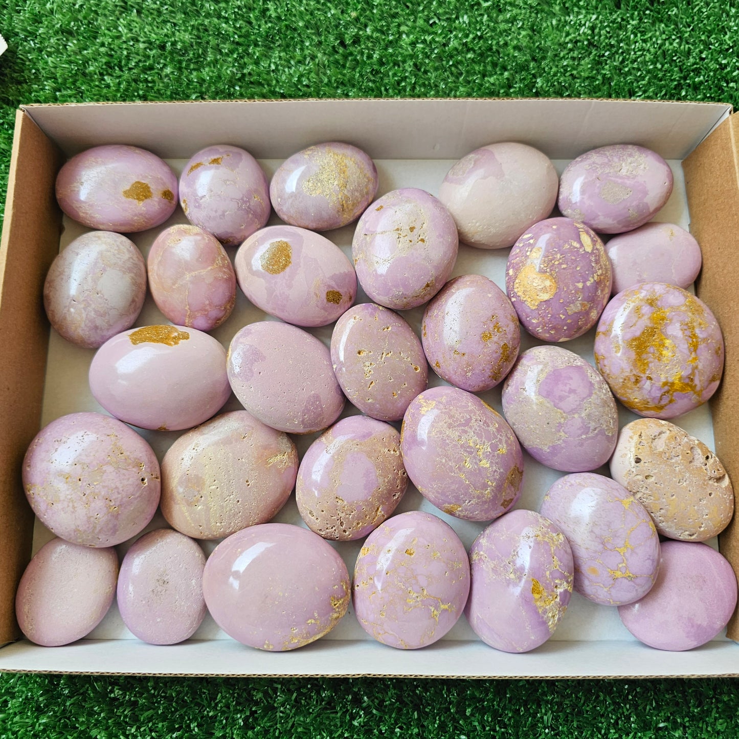 29 pc phosphosiderite palms