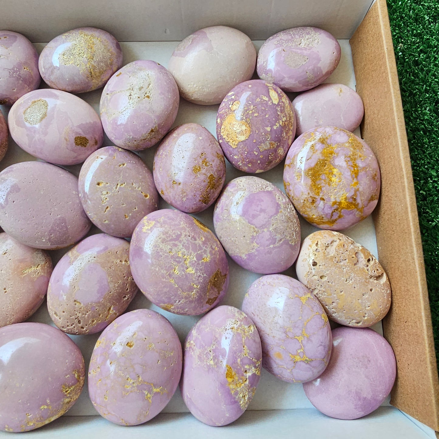 29 pc phosphosiderite palms