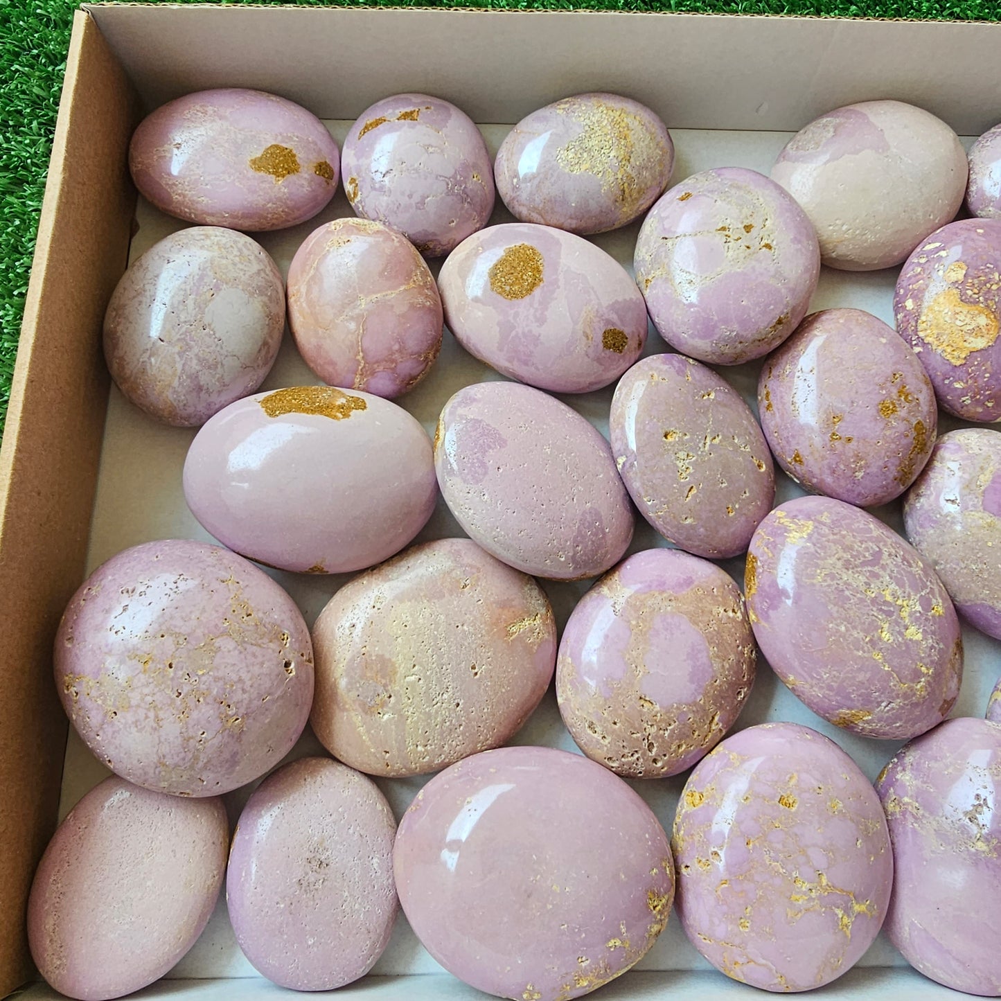 29 pc phosphosiderite palms