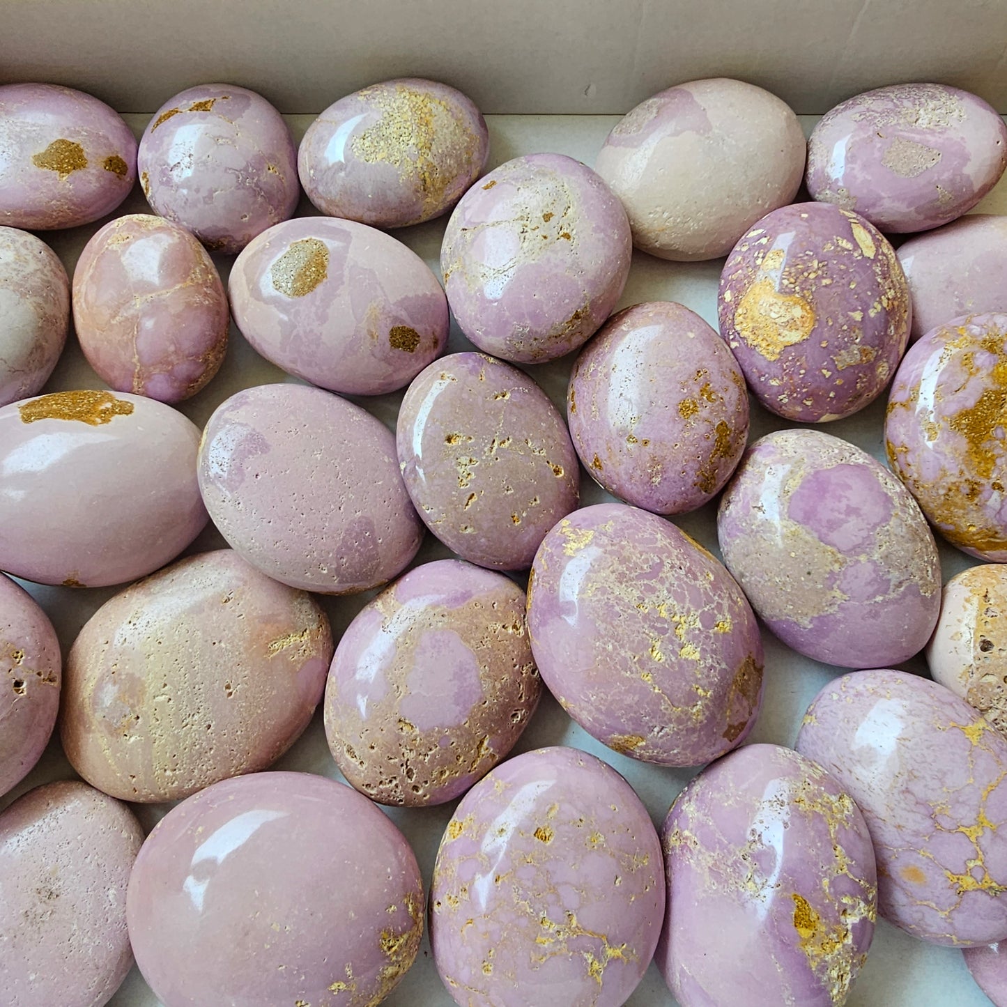 29 pc phosphosiderite palms
