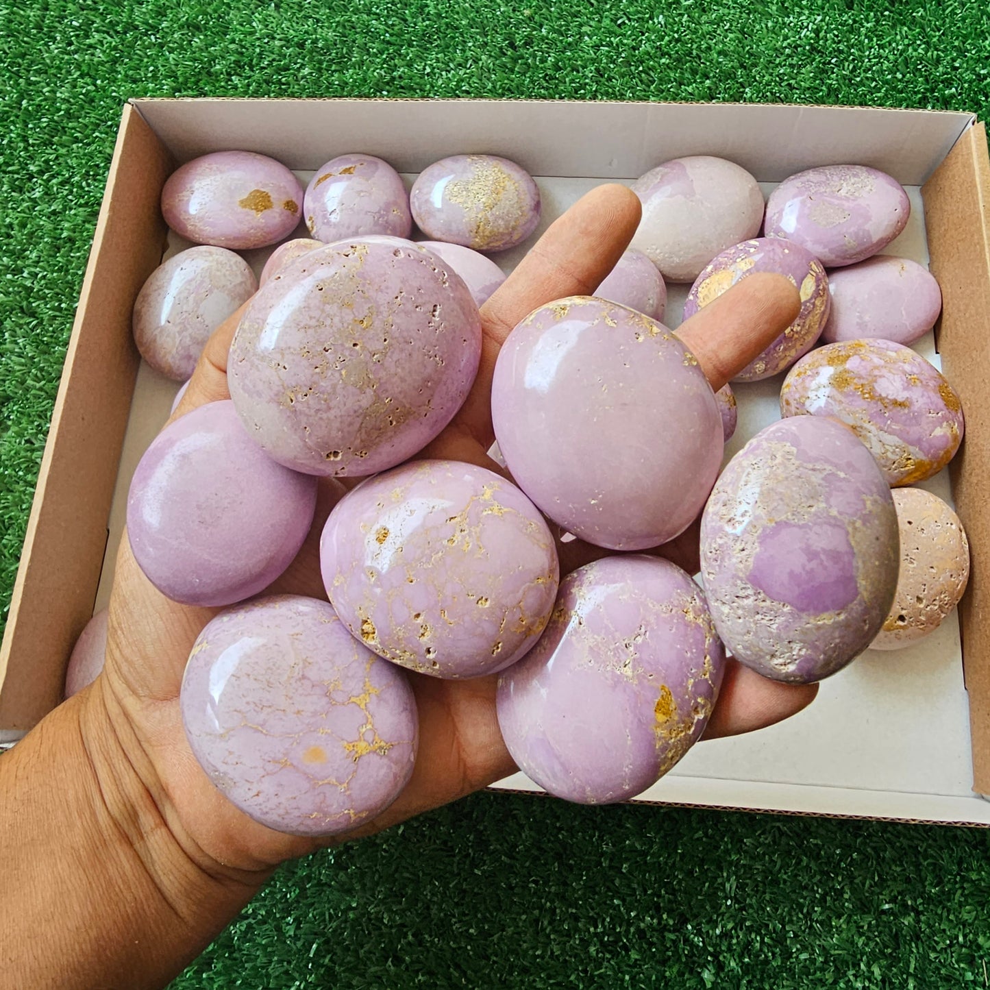 29 pc phosphosiderite palms