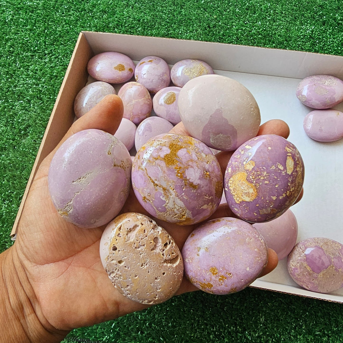 29 pc phosphosiderite palms