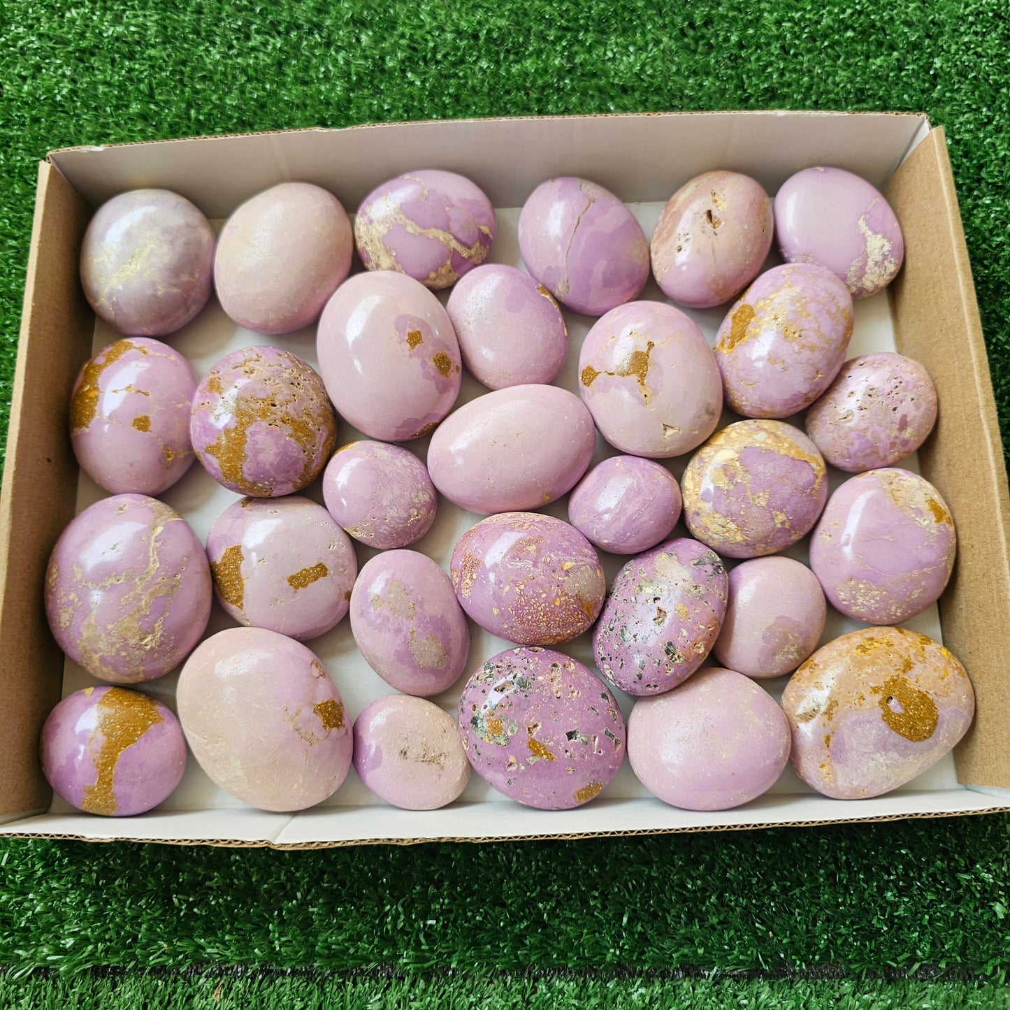 30 pc phosphosiderite palms