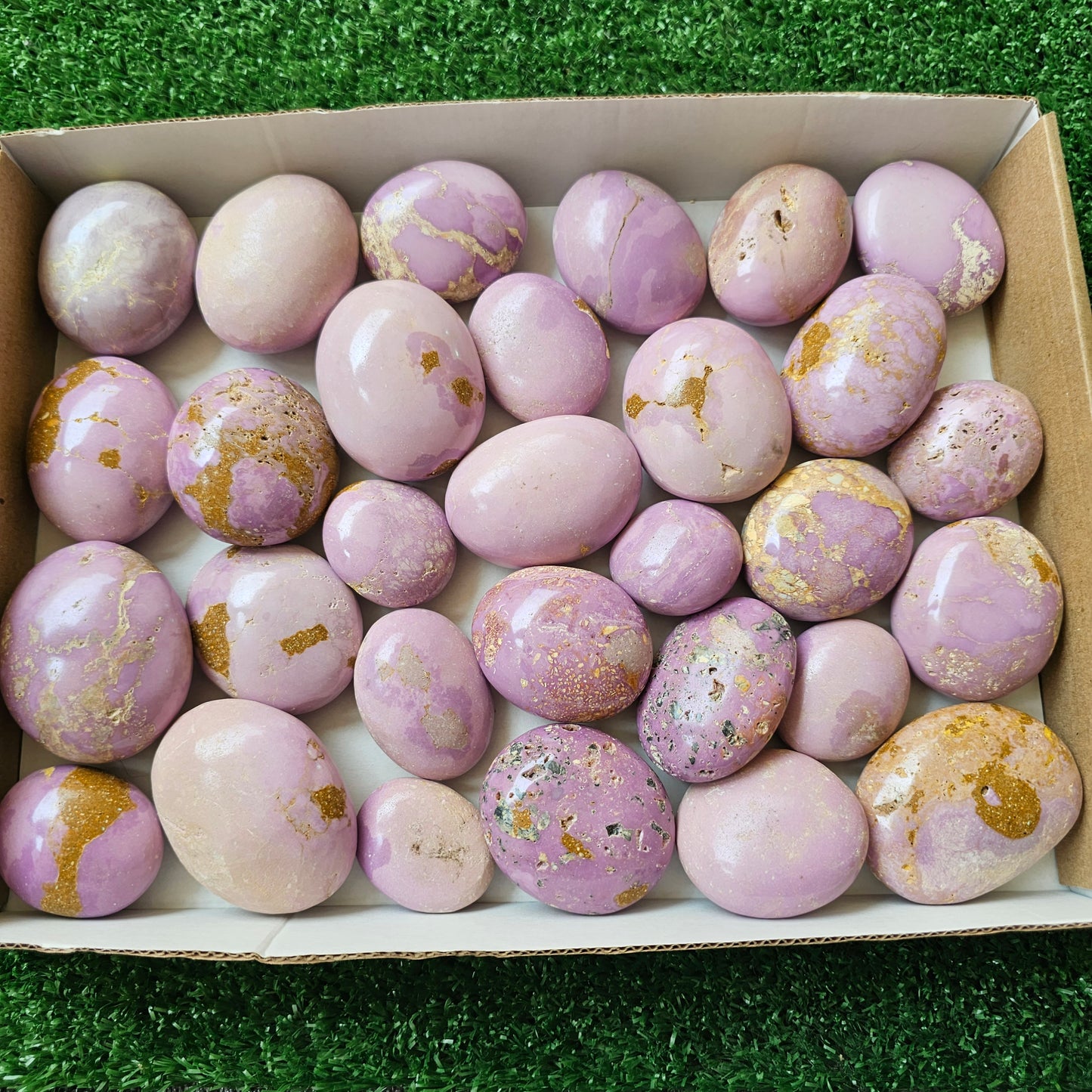 30 pc phosphosiderite palms