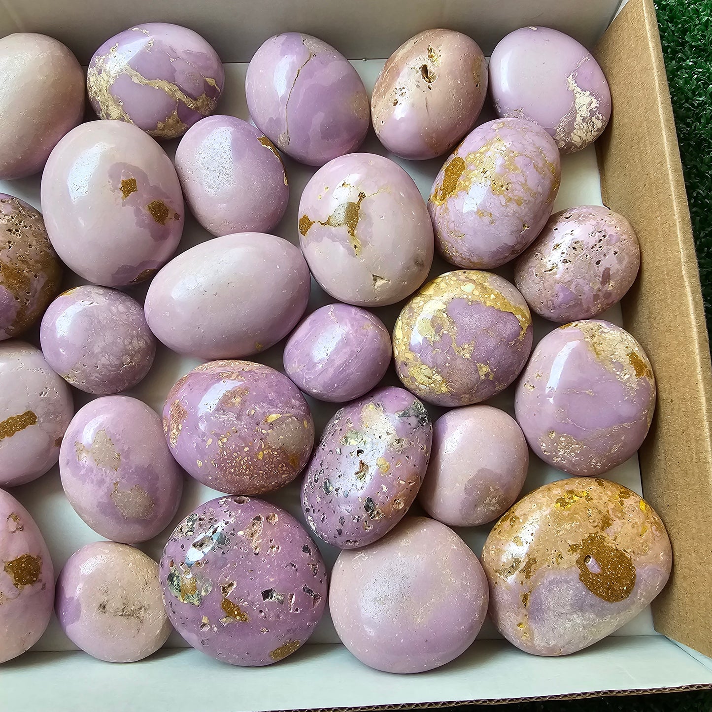30 pc phosphosiderite palms