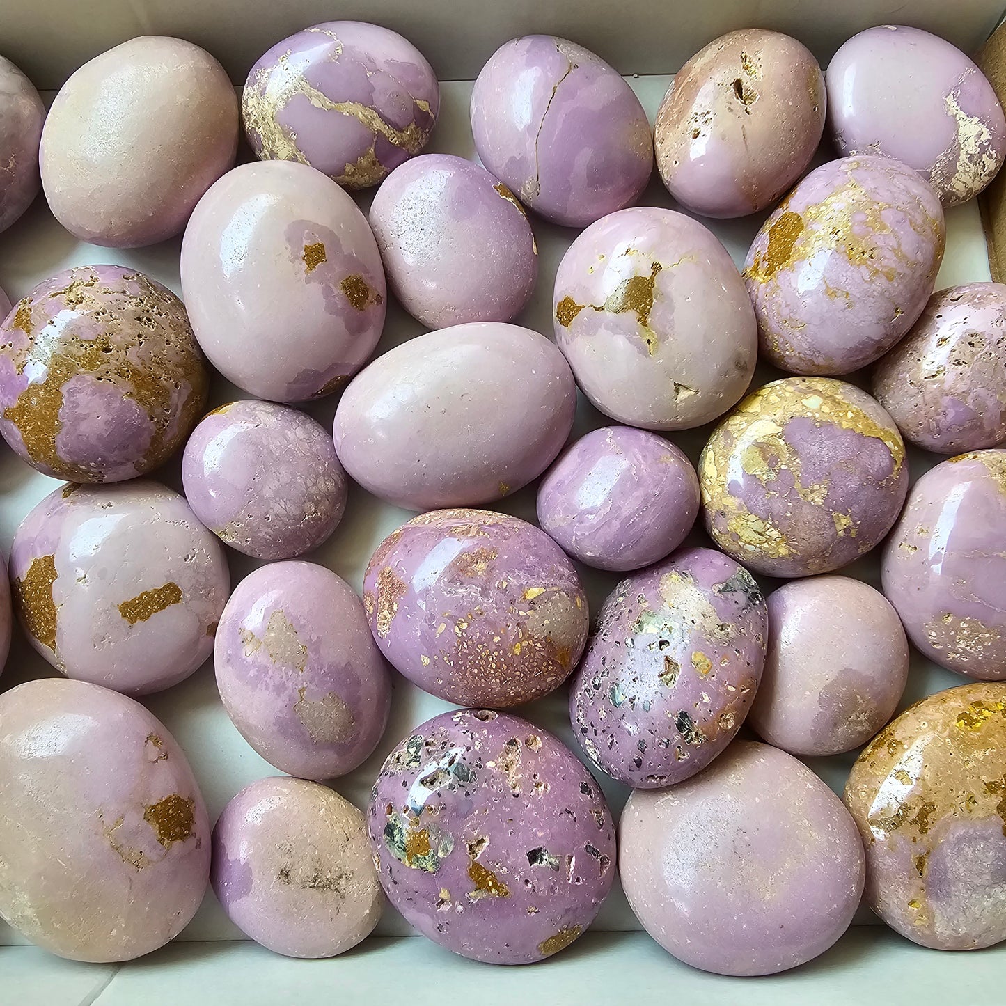 30 pc phosphosiderite palms