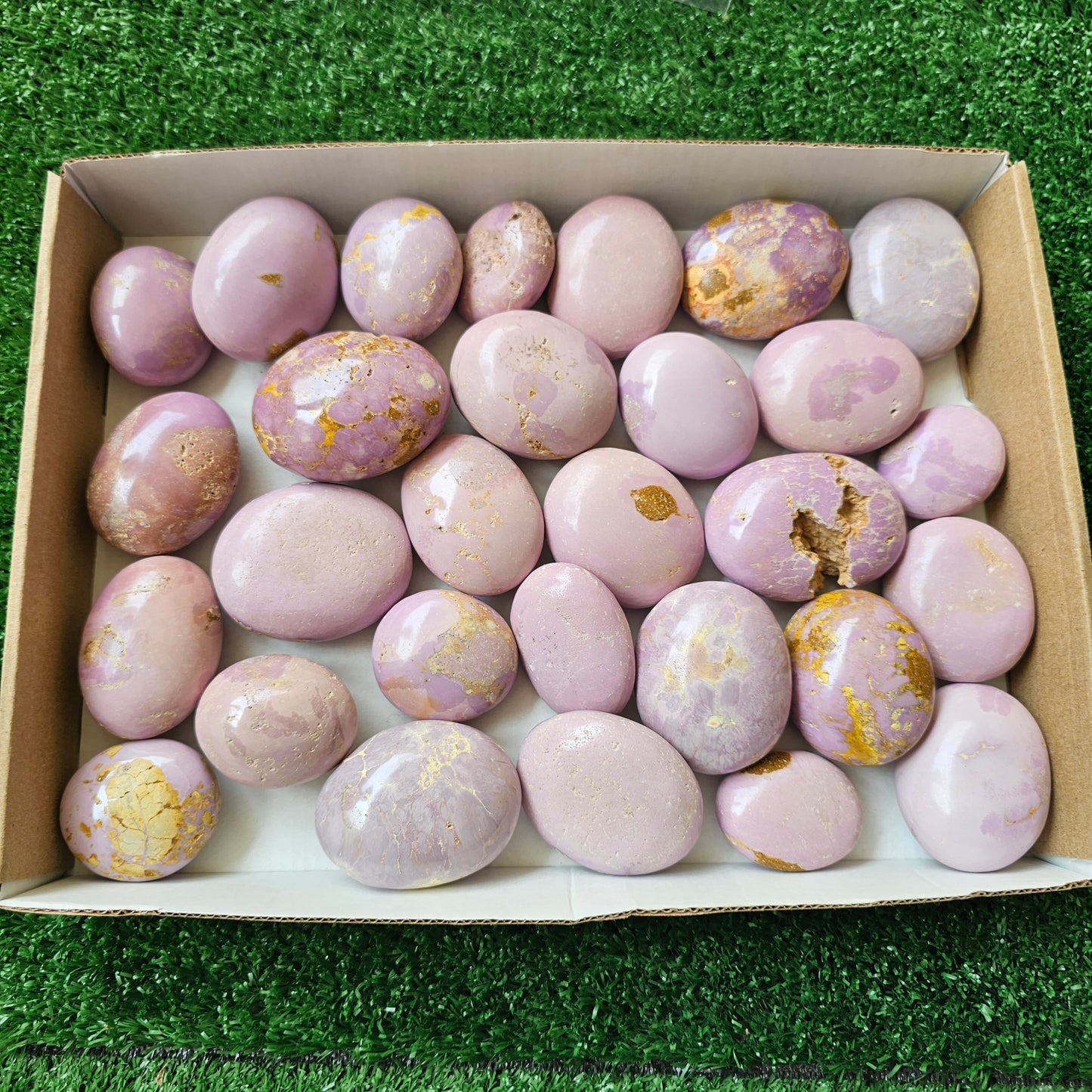 29 pc phosphosiderite palms