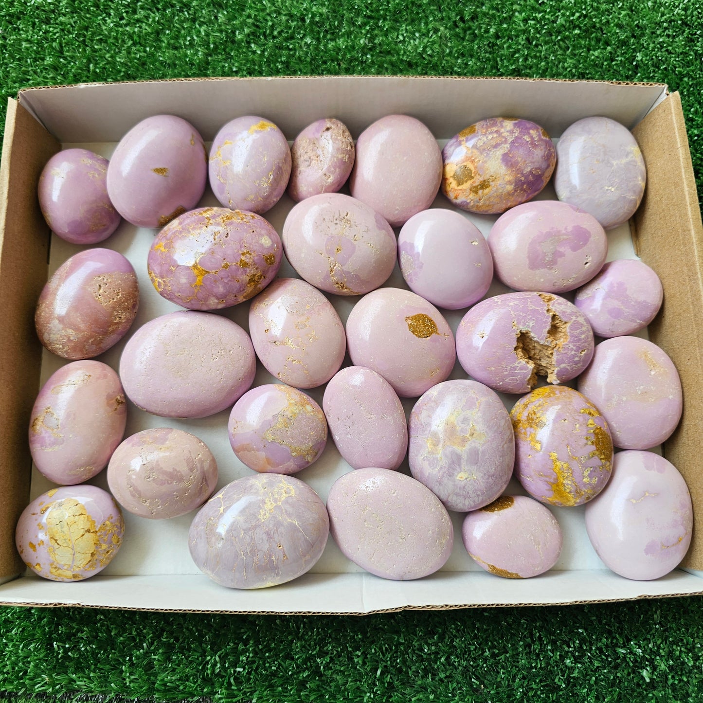 29 pc phosphosiderite palms