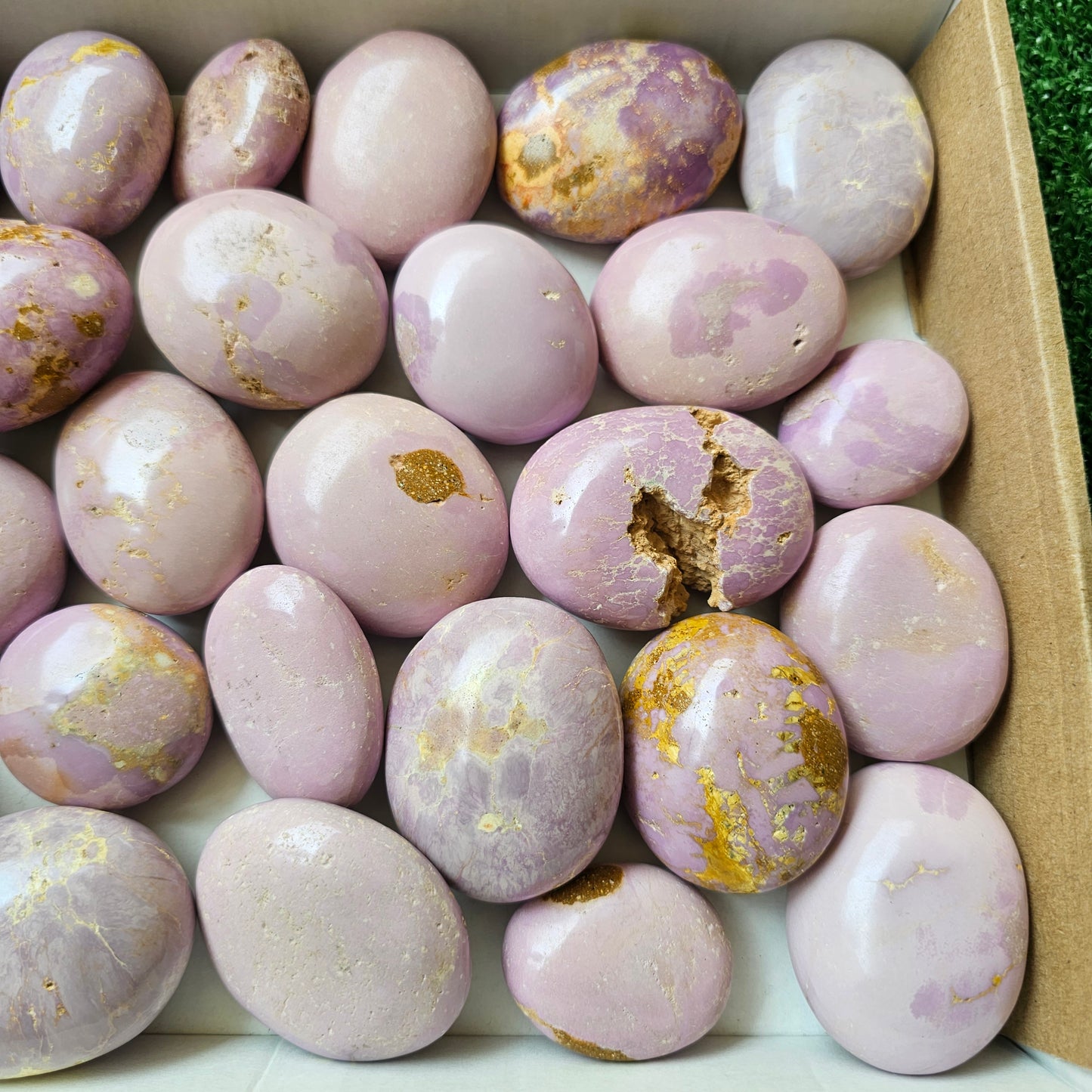29 pc phosphosiderite palms