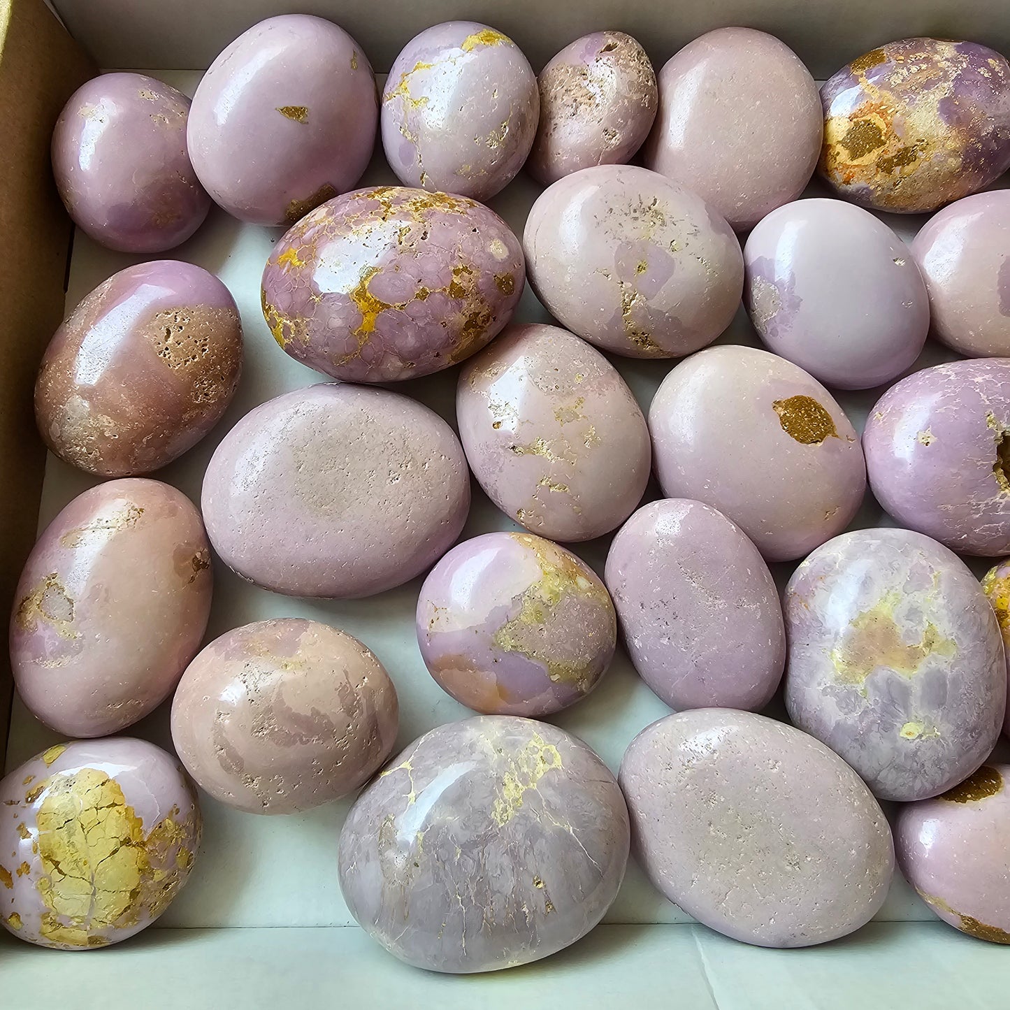 29 pc phosphosiderite palms