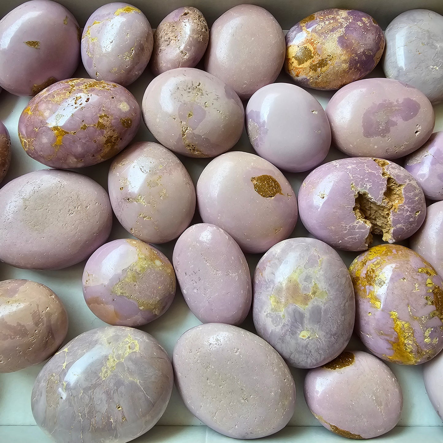 29 pc phosphosiderite palms