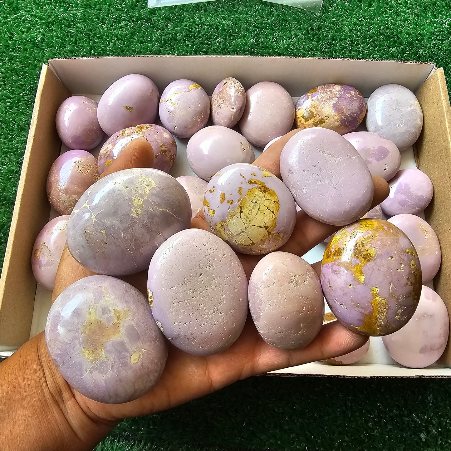 29 pc phosphosiderite palms