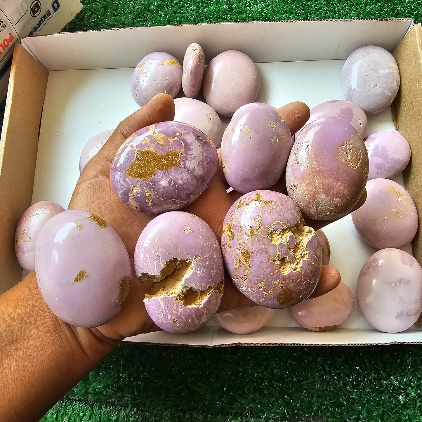 29 pc phosphosiderite palms