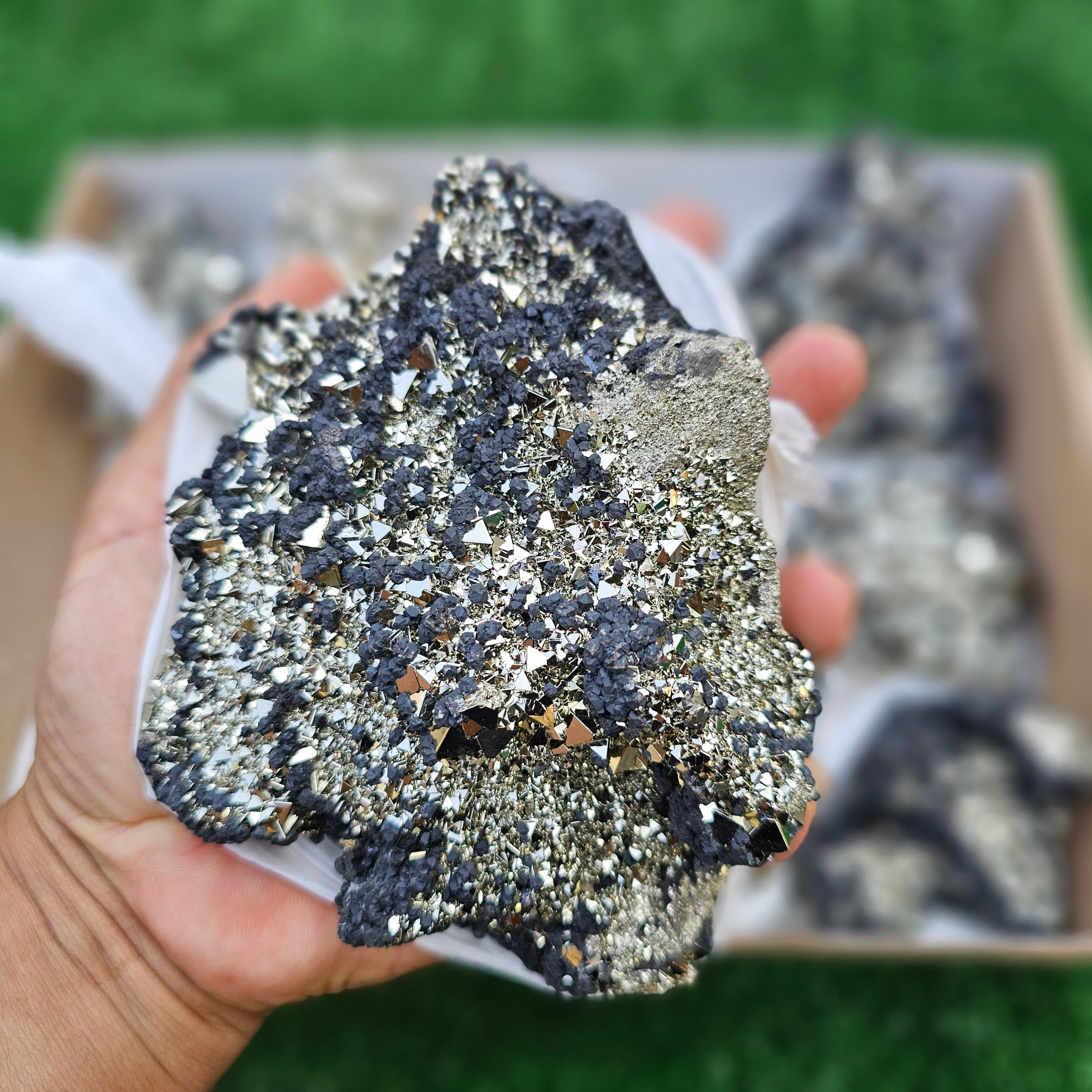 11 pc pyrite octahedral with sphalerite