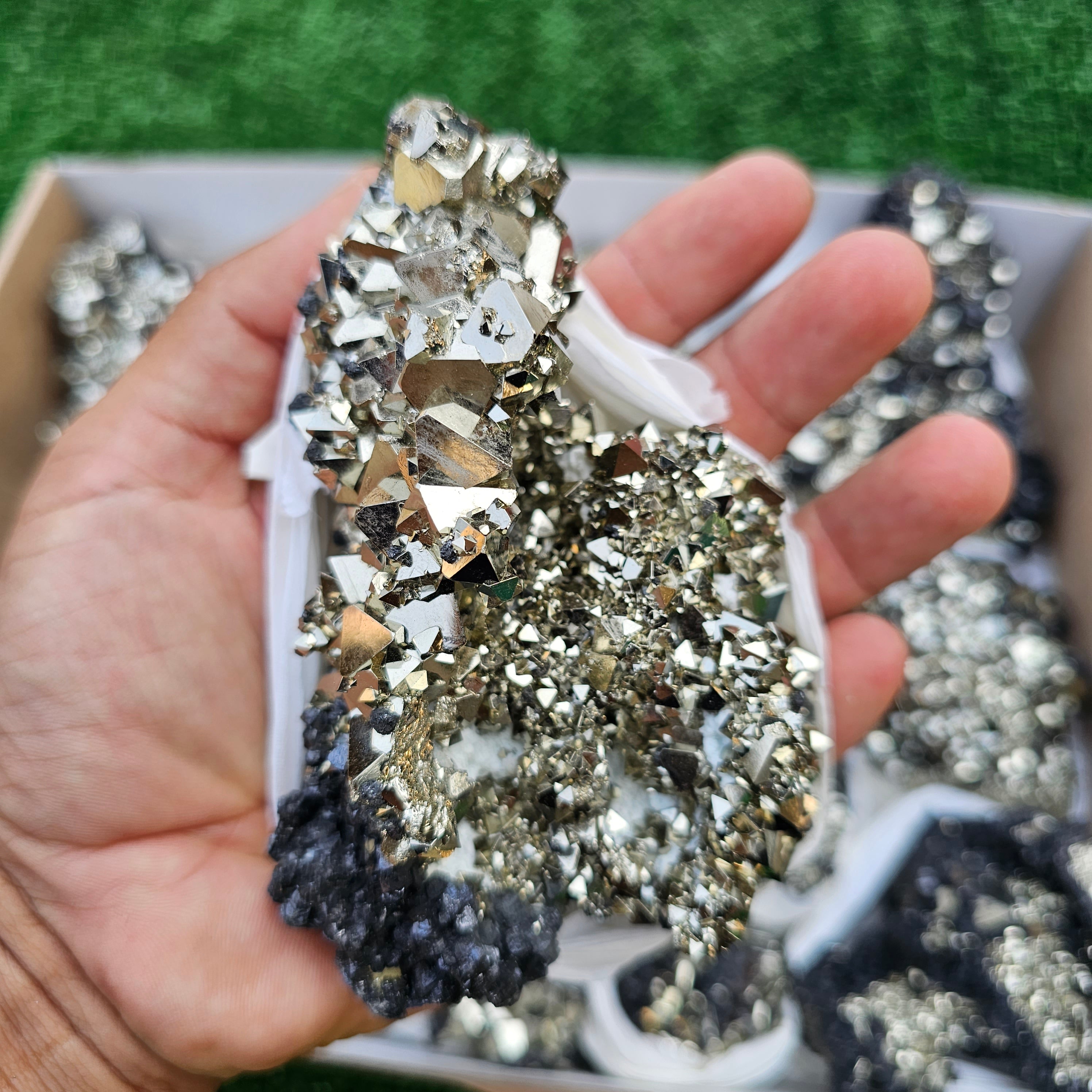 11 pc pyrite octahedral with sphalerite