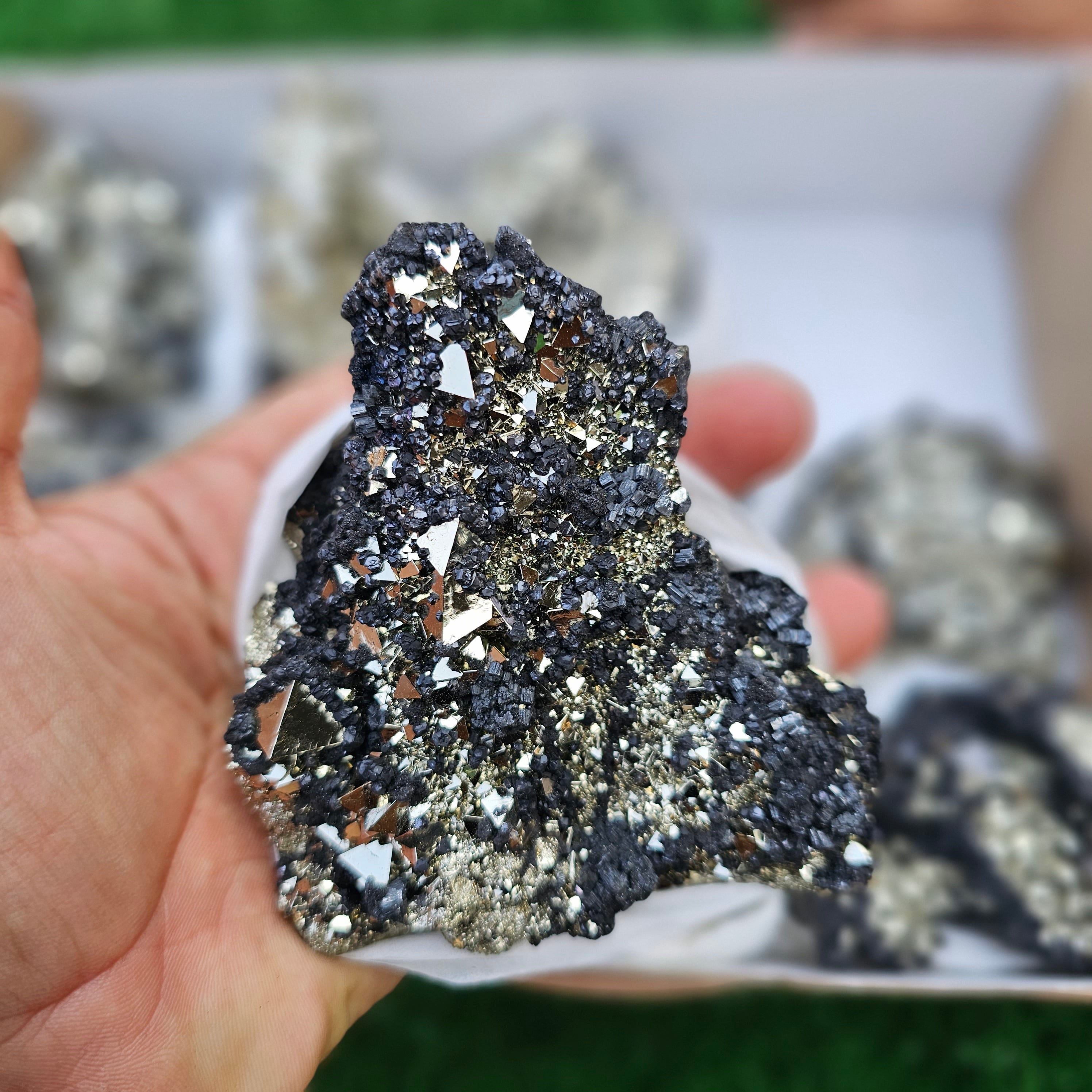 11 pc pyrite octahedral with sphalerite