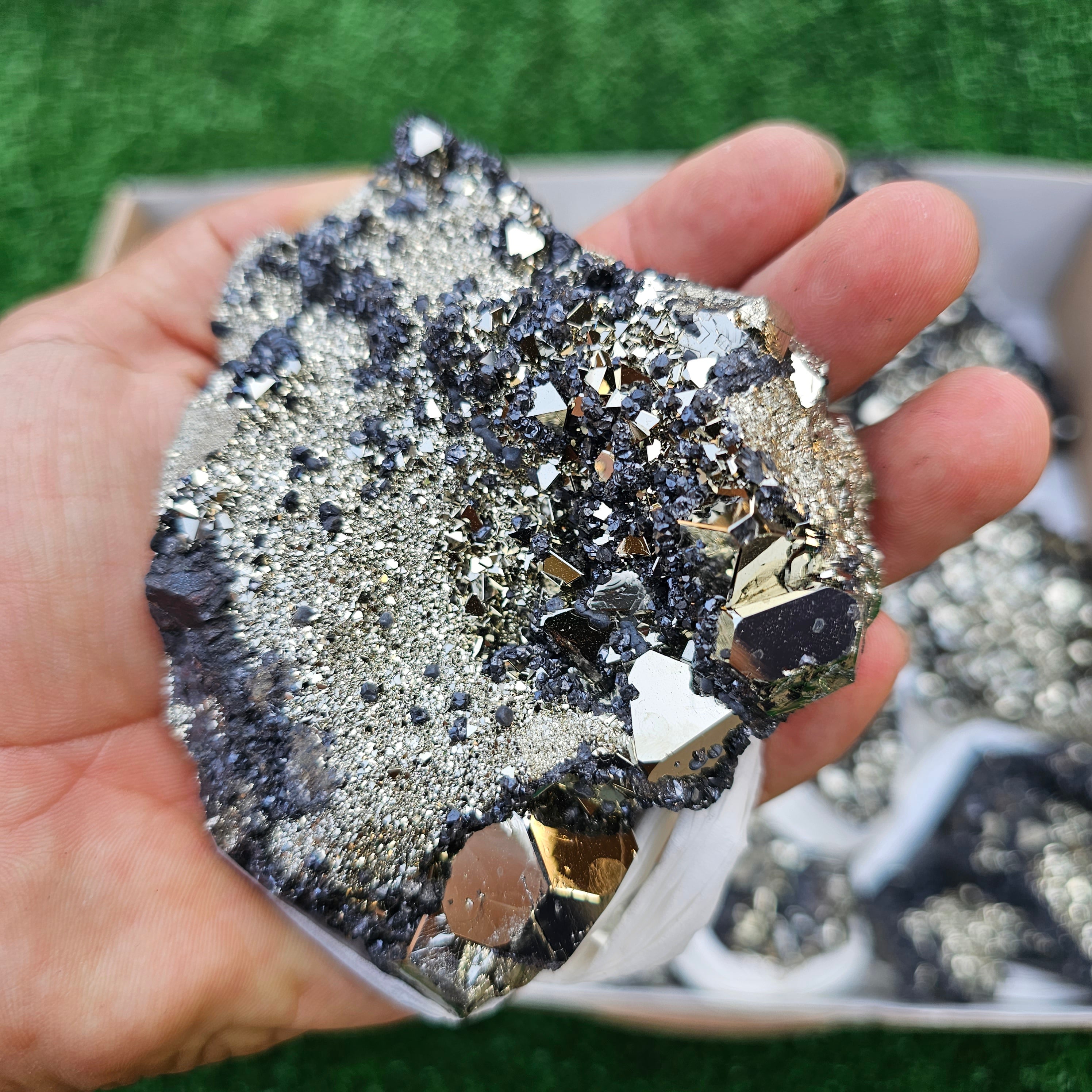 11 pc pyrite octahedral with sphalerite