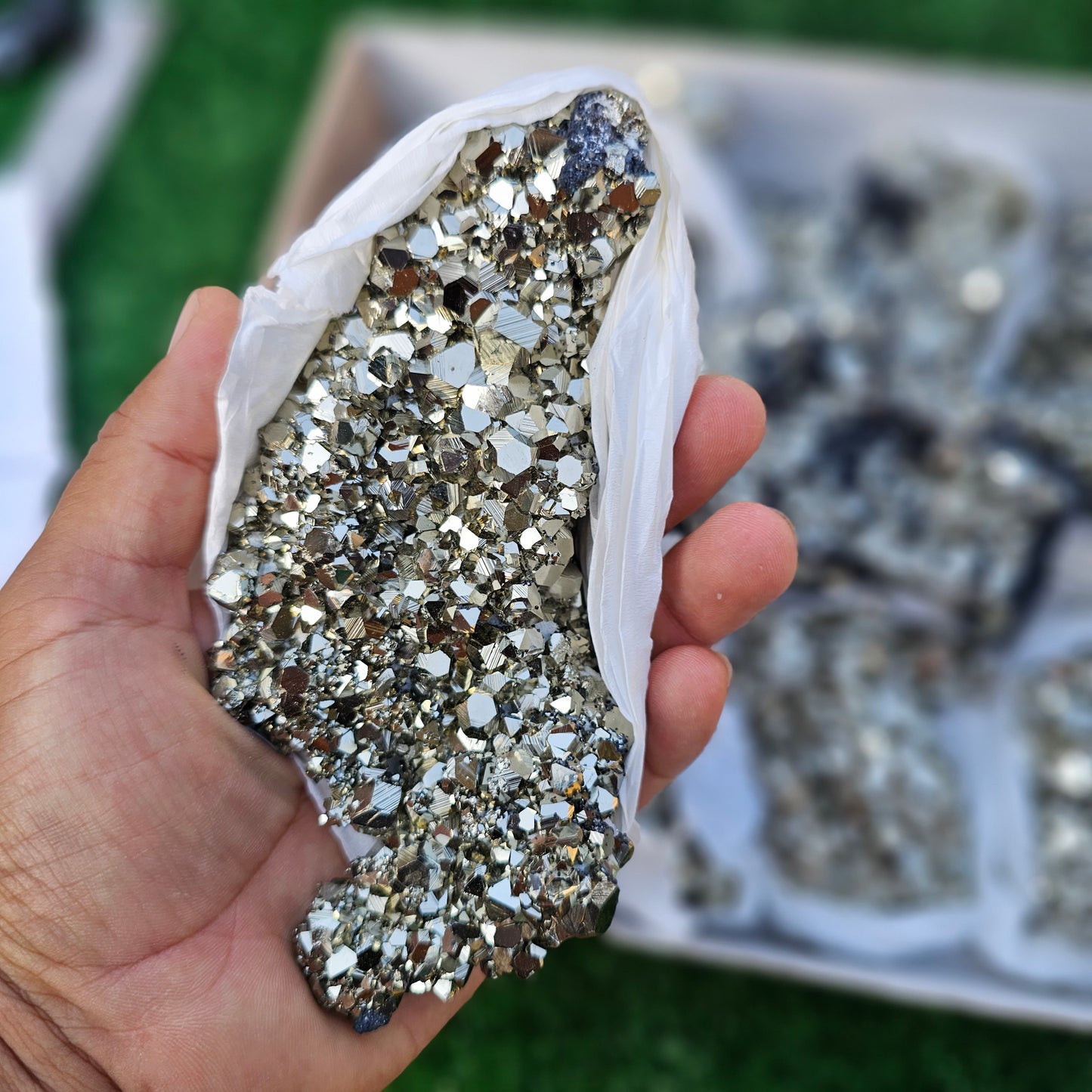 8 pc pyrite octahedral with sphalerite