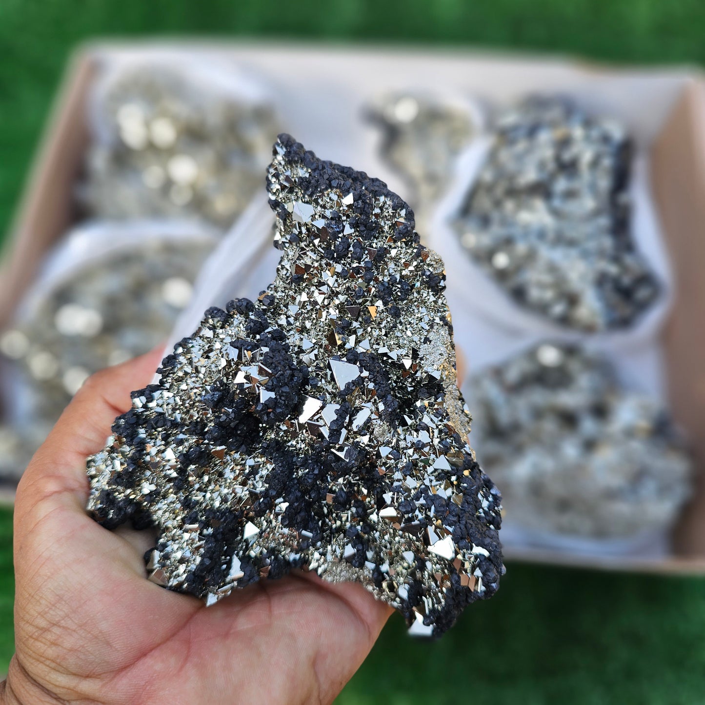 8 pc pyrite octahedral with sphalerite
