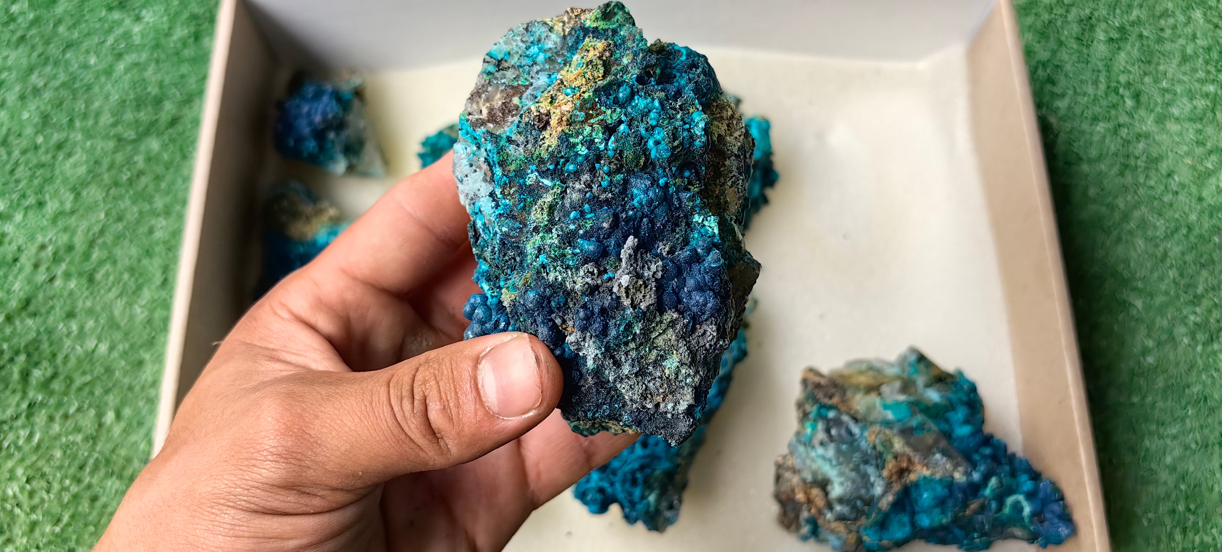 Lot 7 Chrysocolla on Quartz