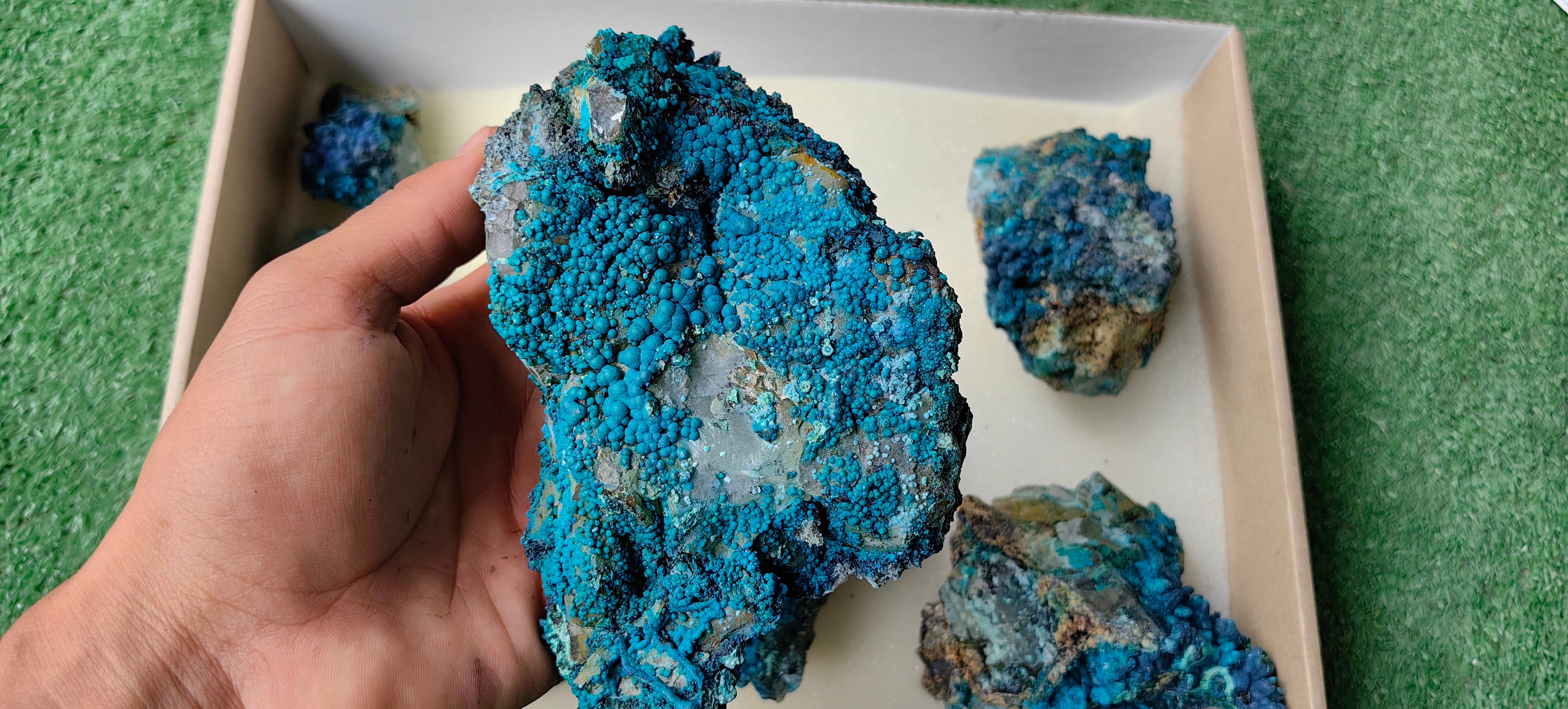 Lot 7 Chrysocolla on Quartz