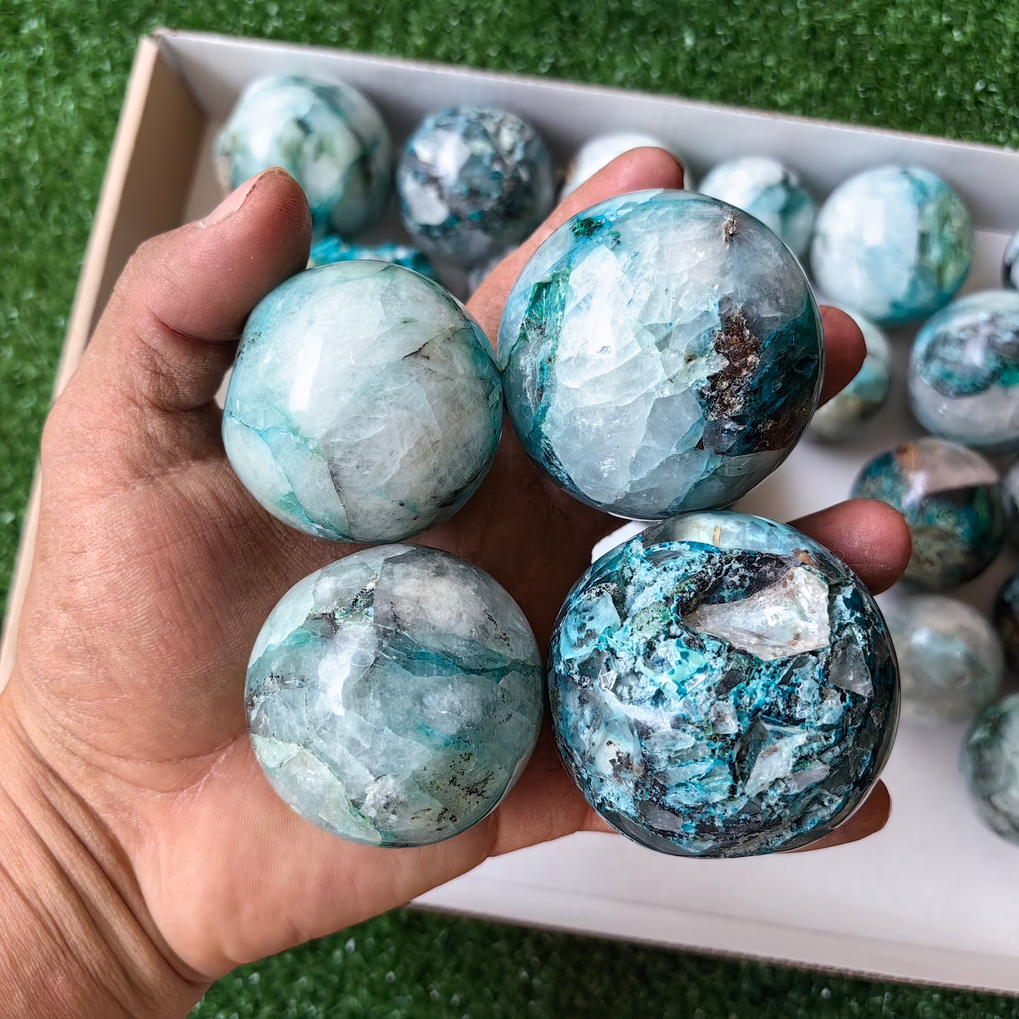 Lot 24 pcs Quantum Quattro Sphere*