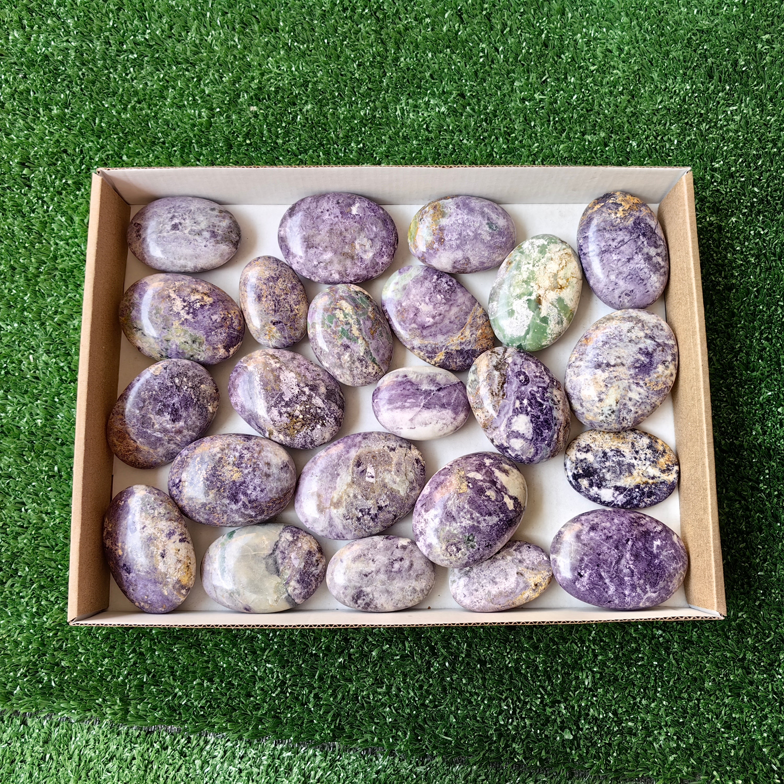 23 pcs Bolivianite Palm