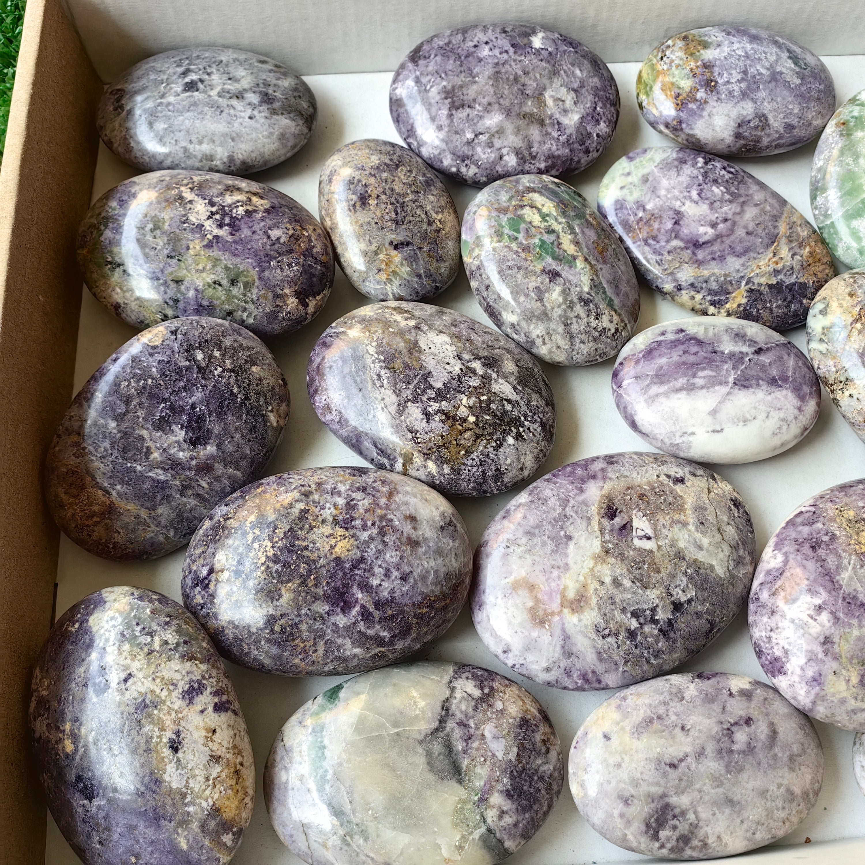 23 pcs Bolivianite Palm