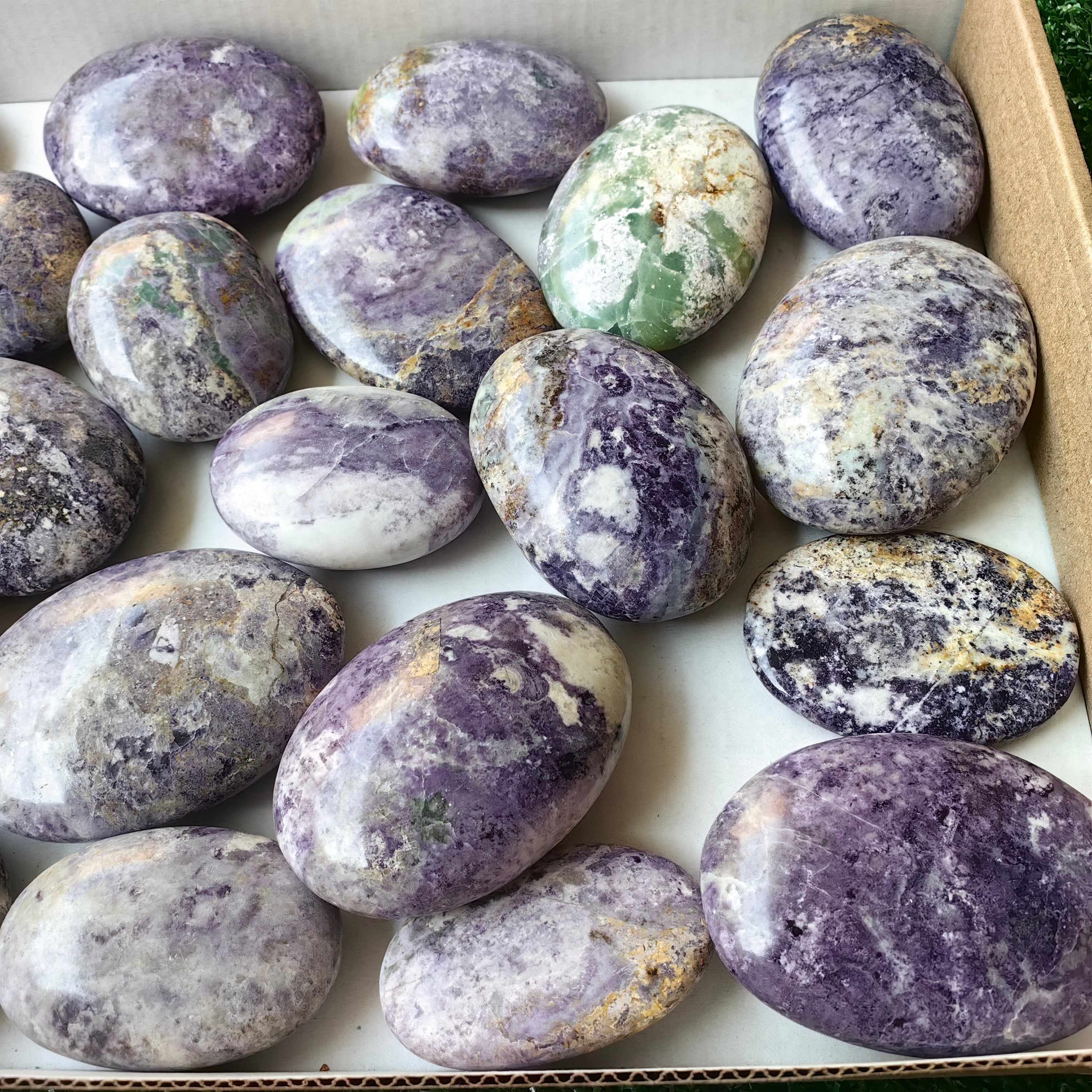 23 pcs Bolivianite Palm