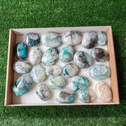 23 pcs Chrysocolla Quartz Palm