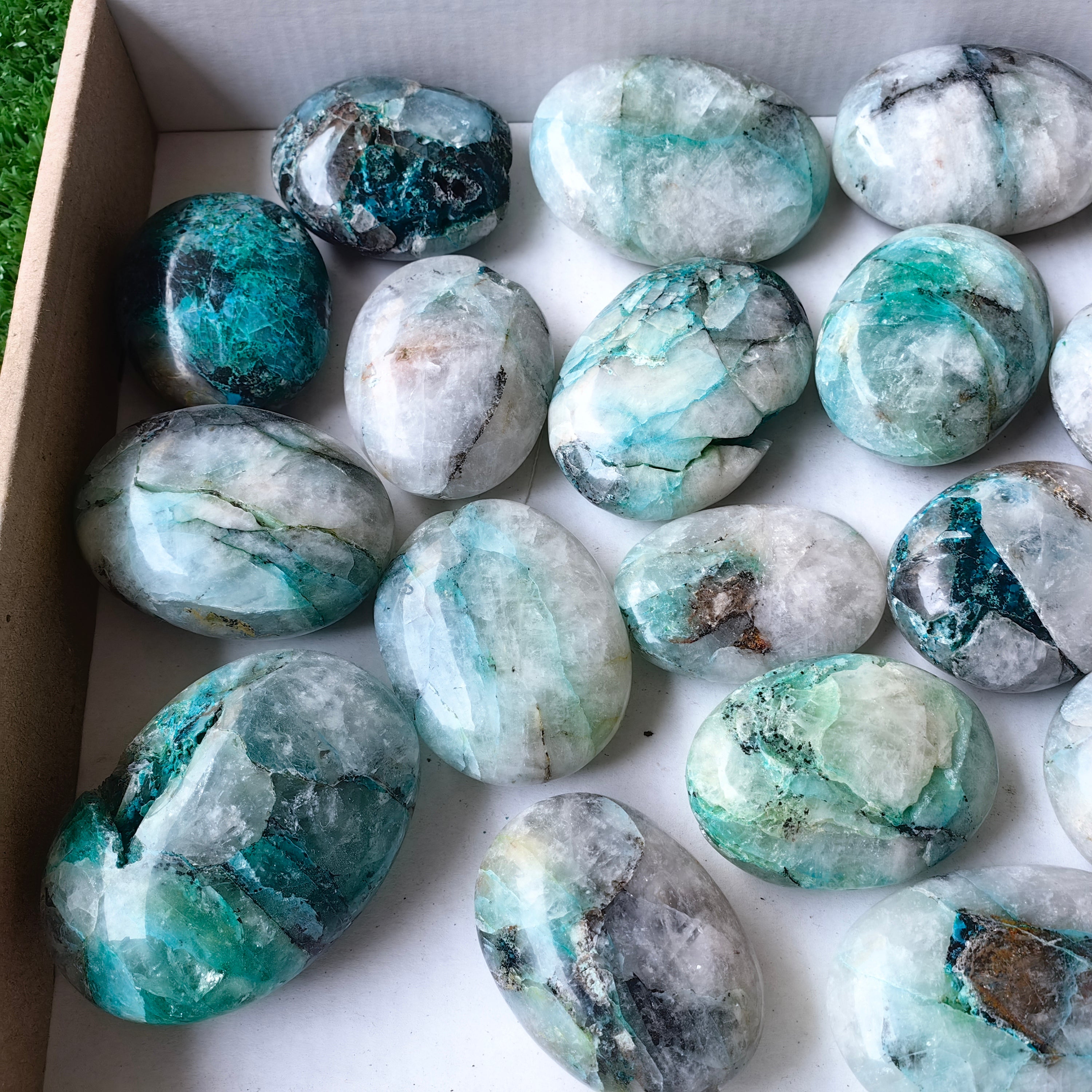 23 pcs Chrysocolla Quartz Palm