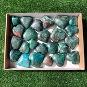 24 pc chrysocolla hearts