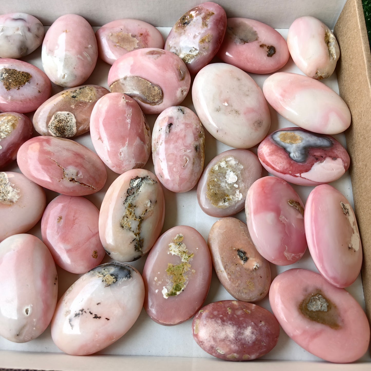 34 pc pink opal palms