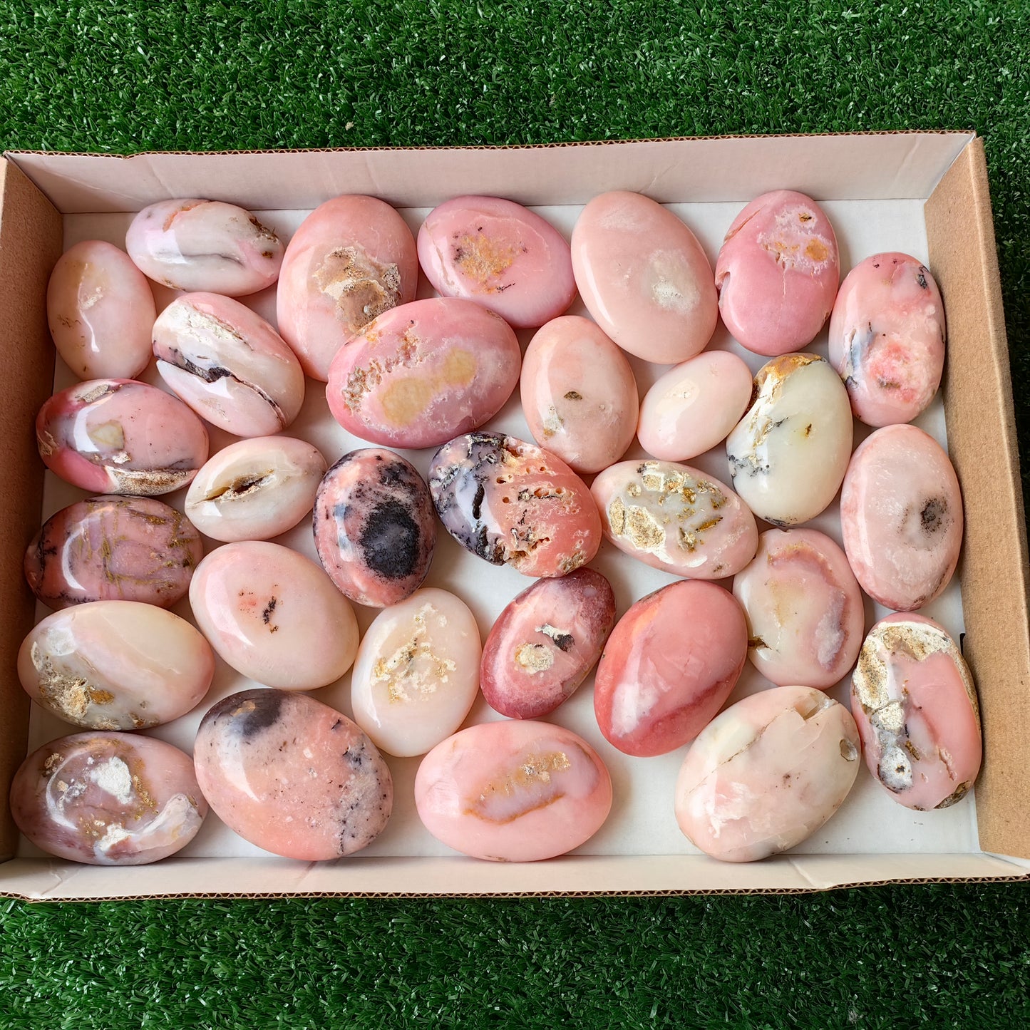 30 pc pink opal palms