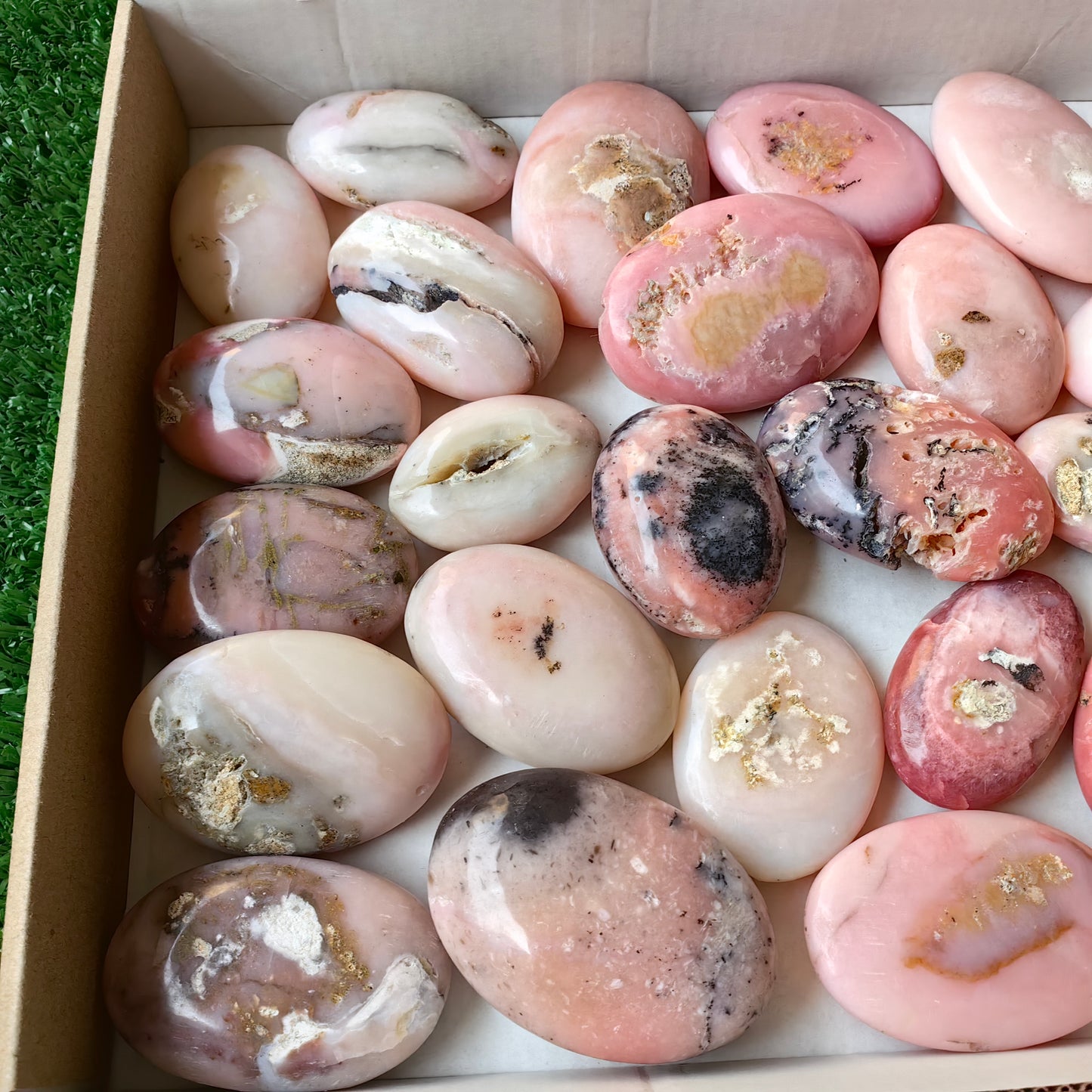 30 pc pink opal palms