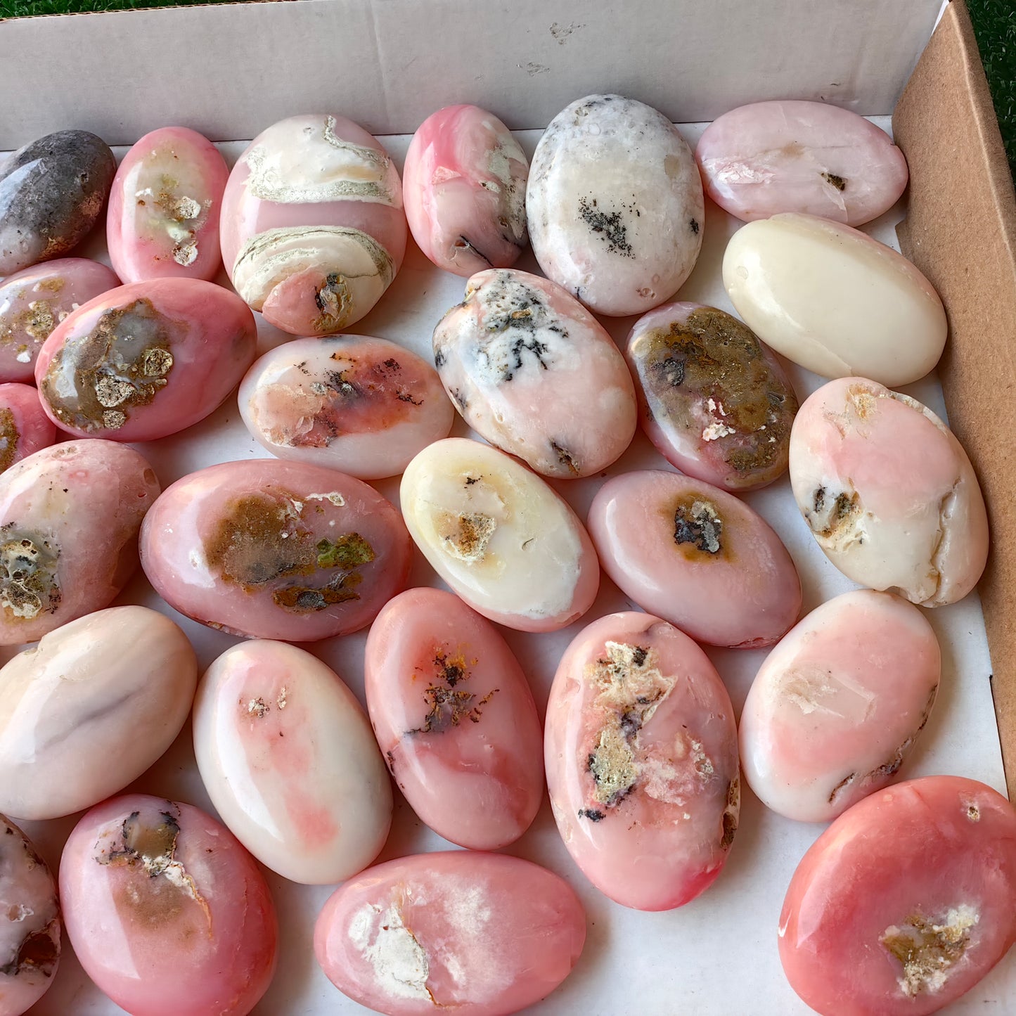 33 pc pink opal palms