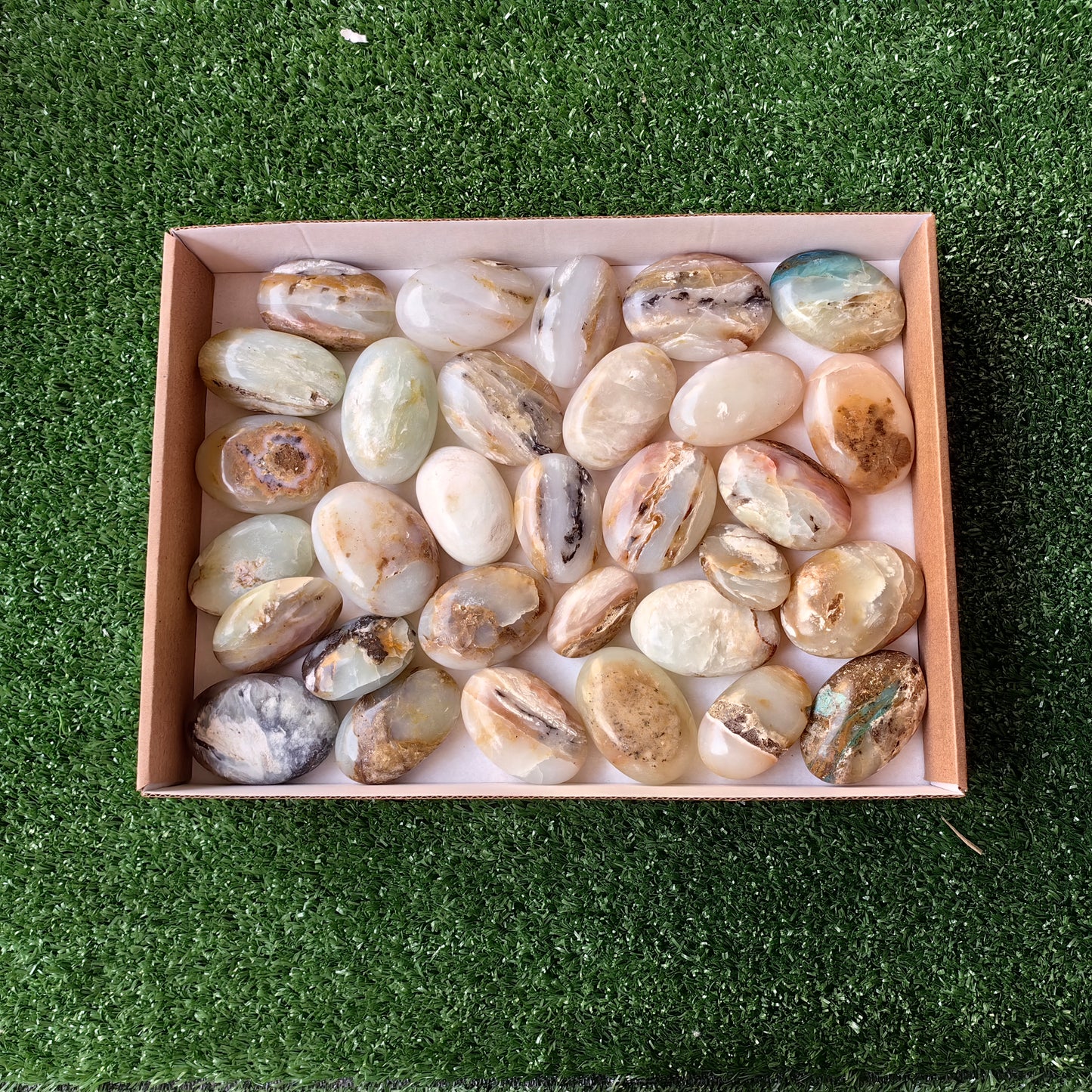 31 pc blue opal palms