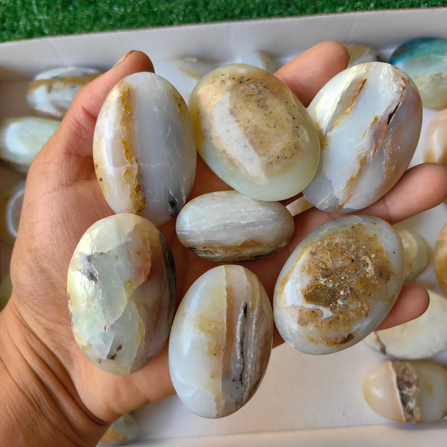31 pc blue opal palms