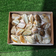 21 pc blue opal flames