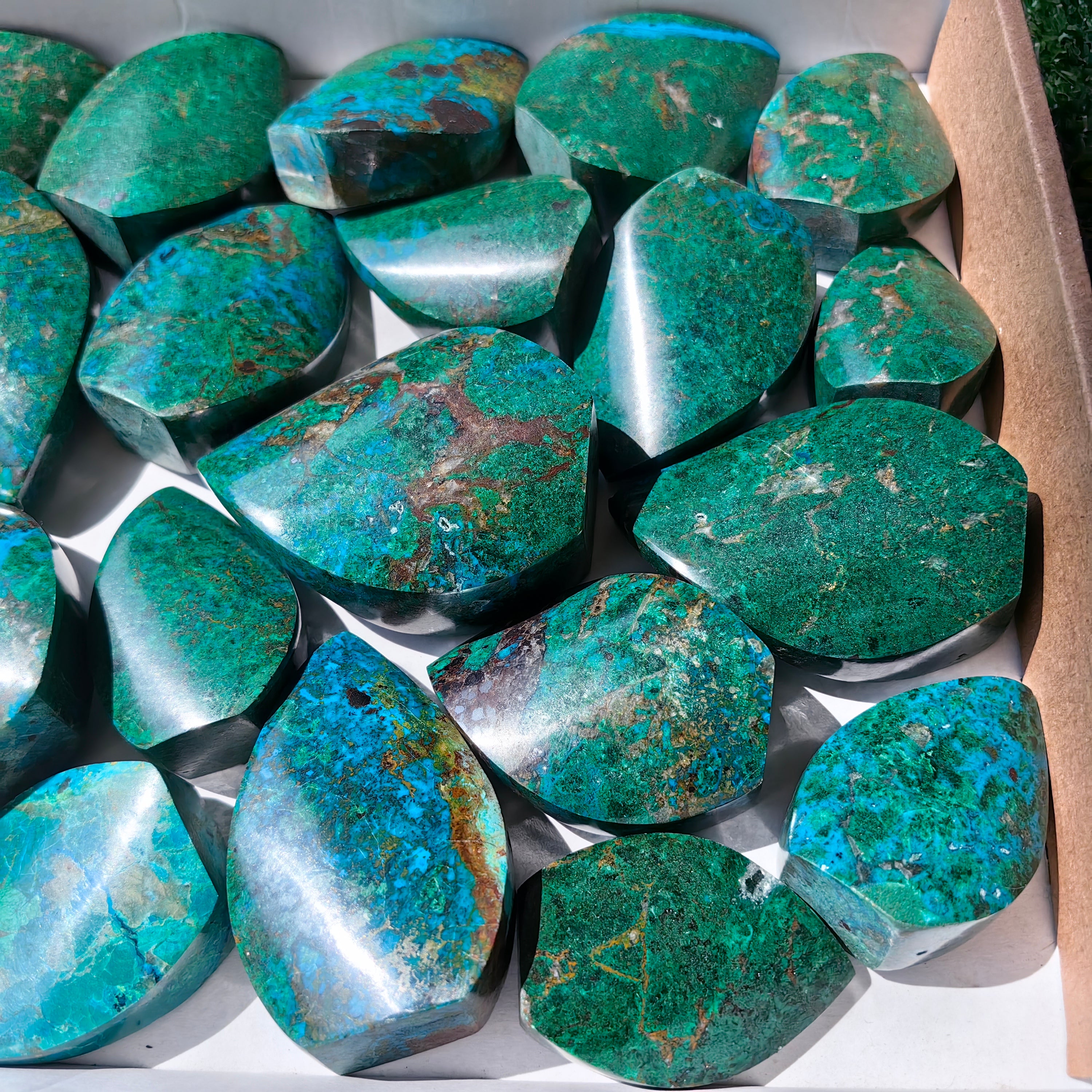 24 pc chrysocolla flames