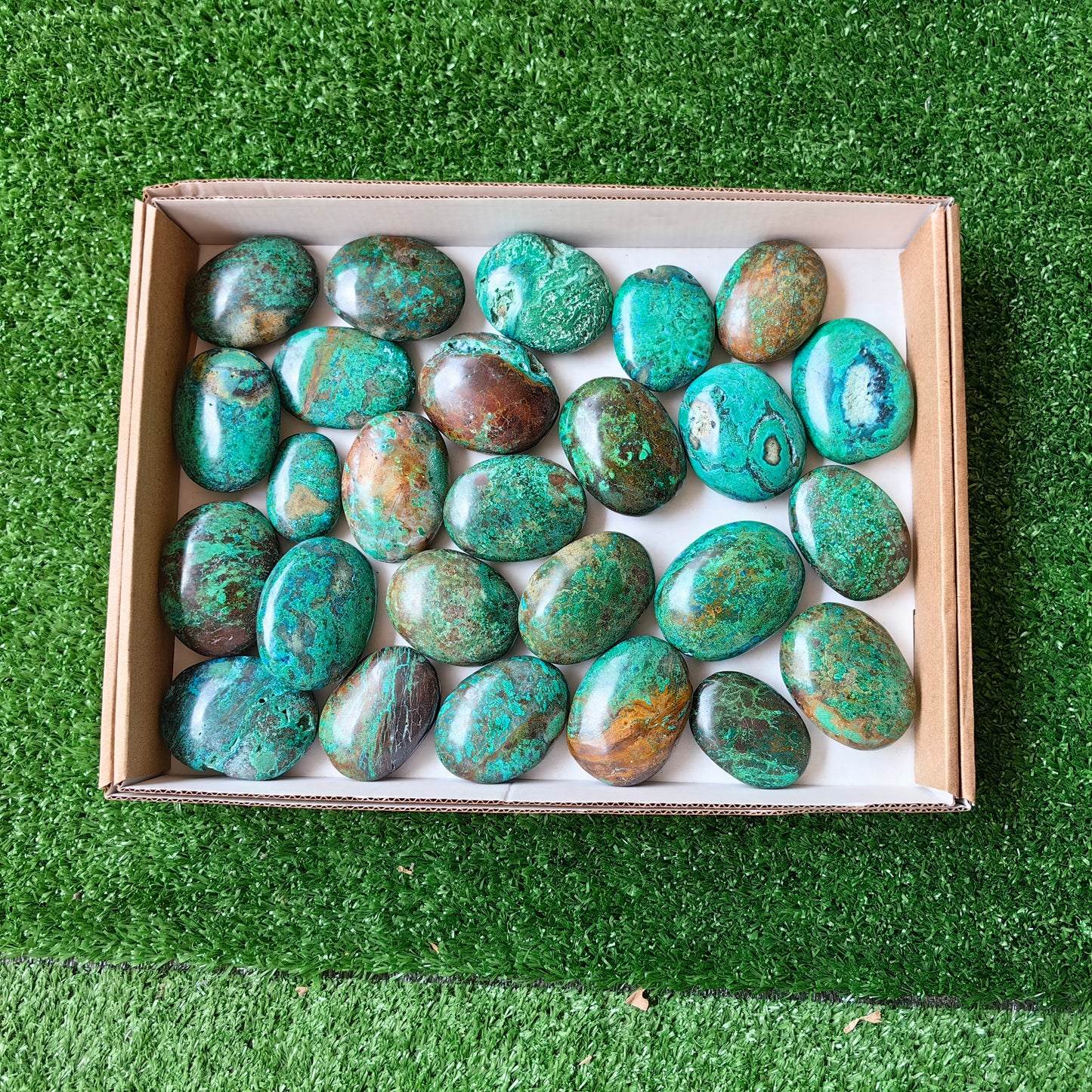 26 pc malachite palms
