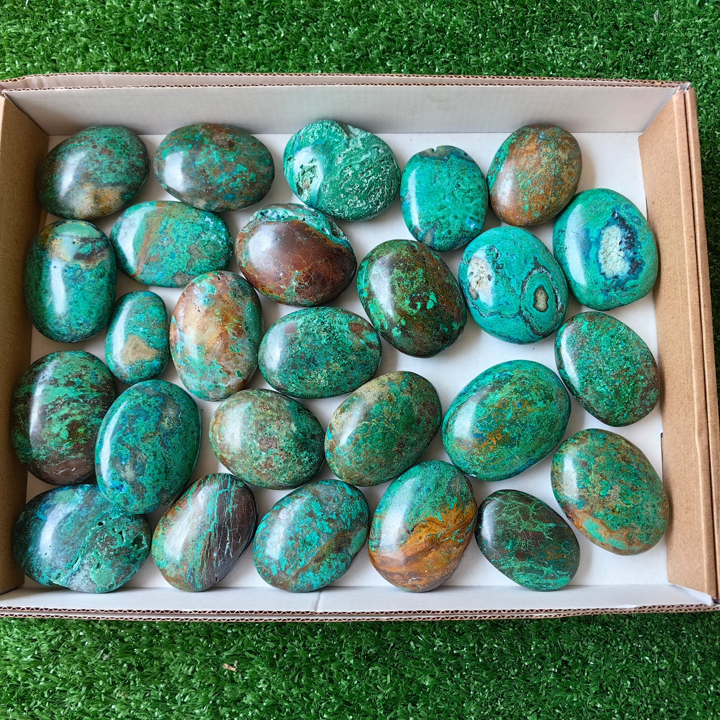 26 pc malachite palms