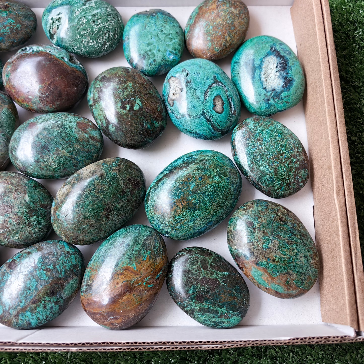 26 pc malachite palms