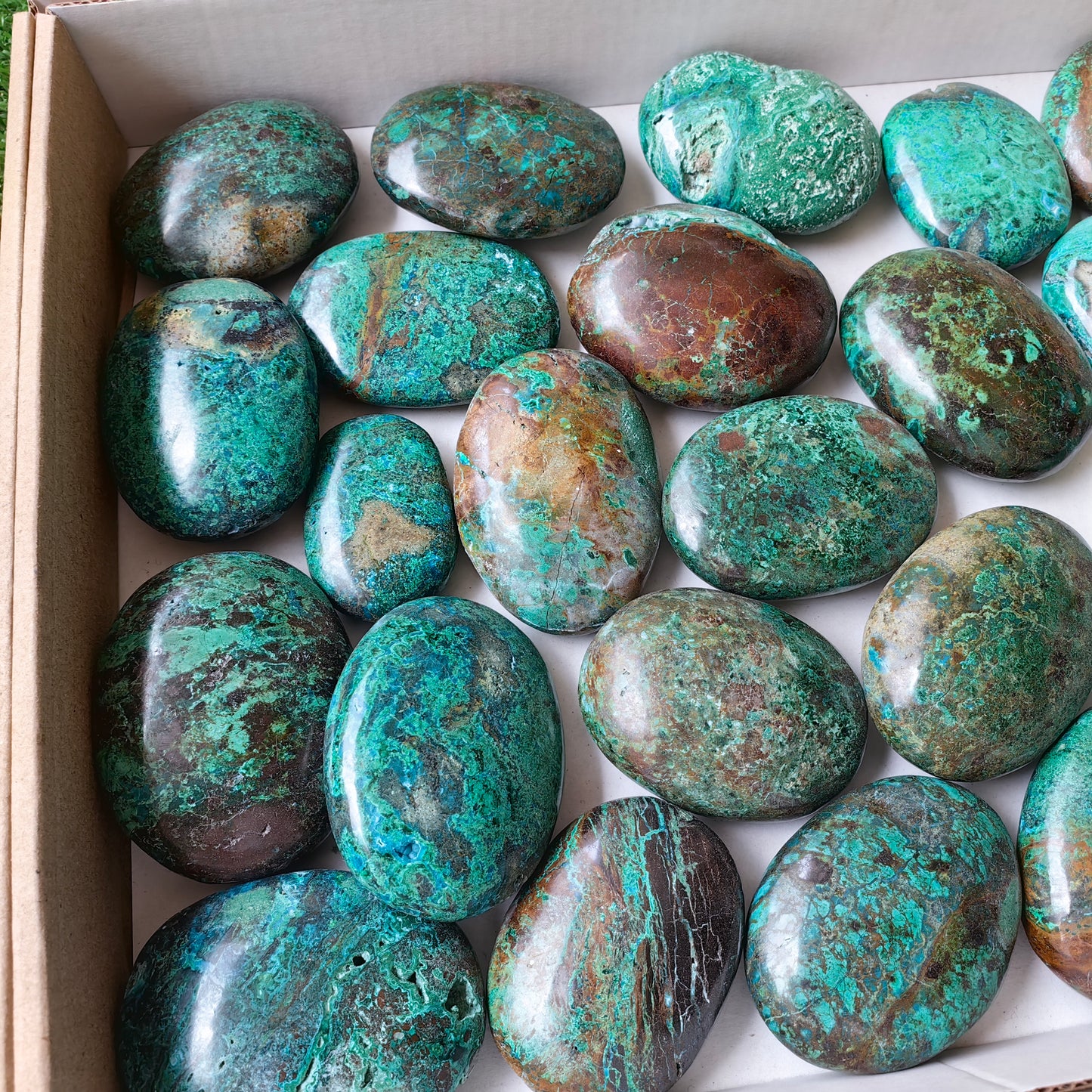 26 pc malachite palms